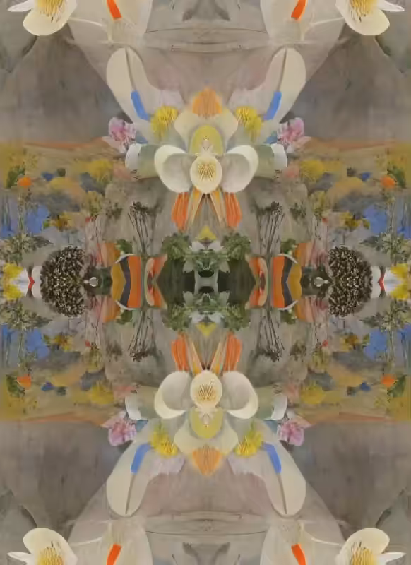 Mirror Matter #2