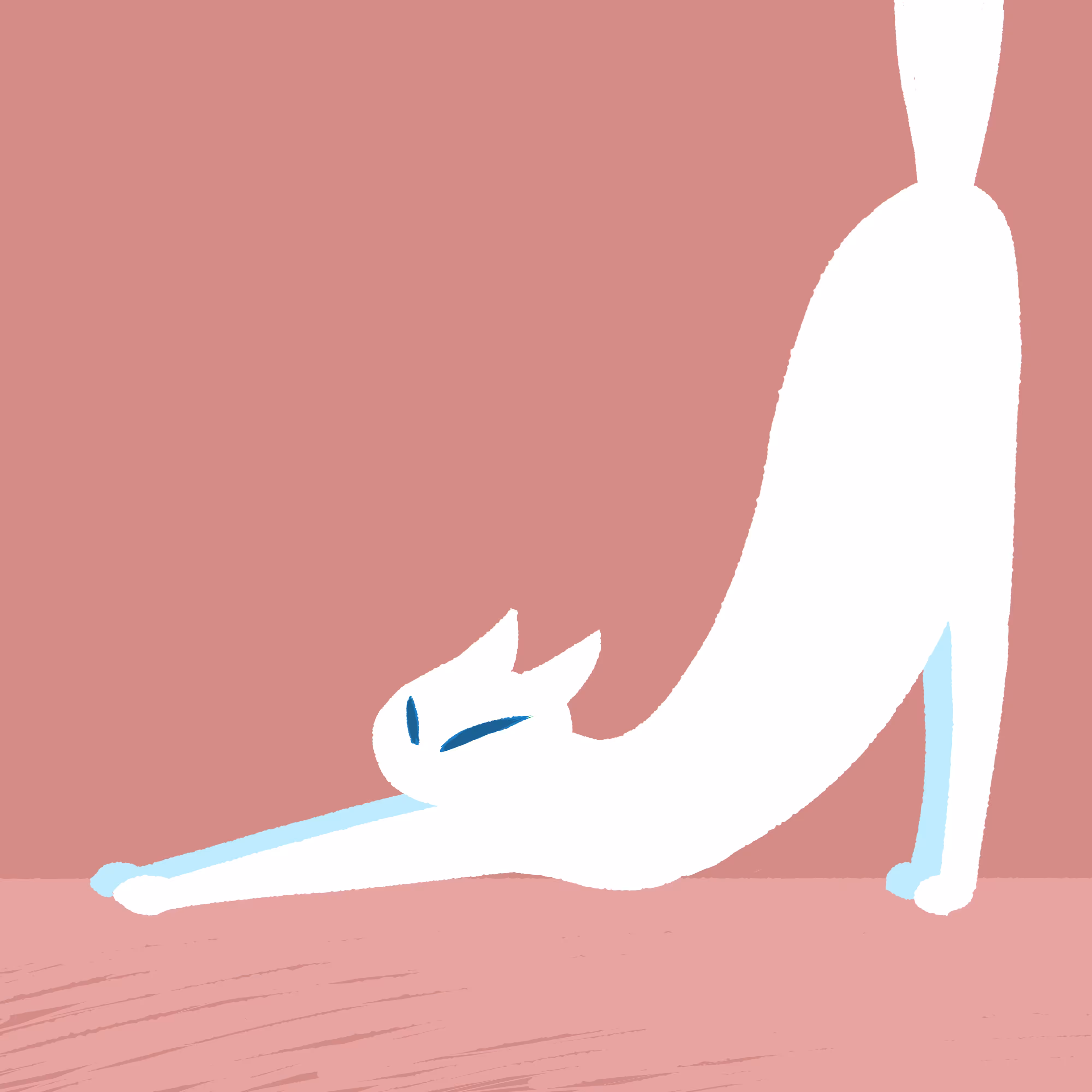 CAT #3 Stretching Cat