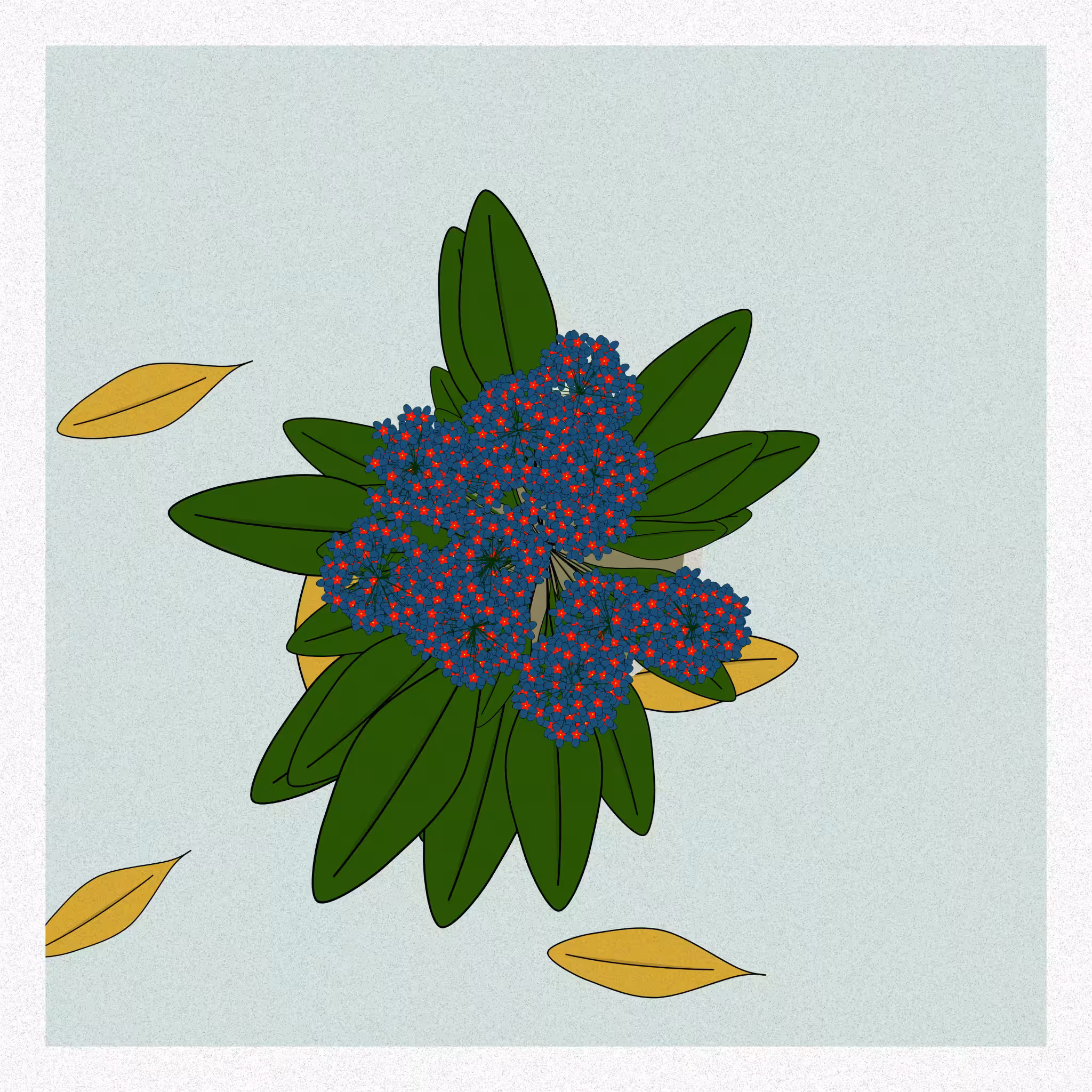 Flowers #172
