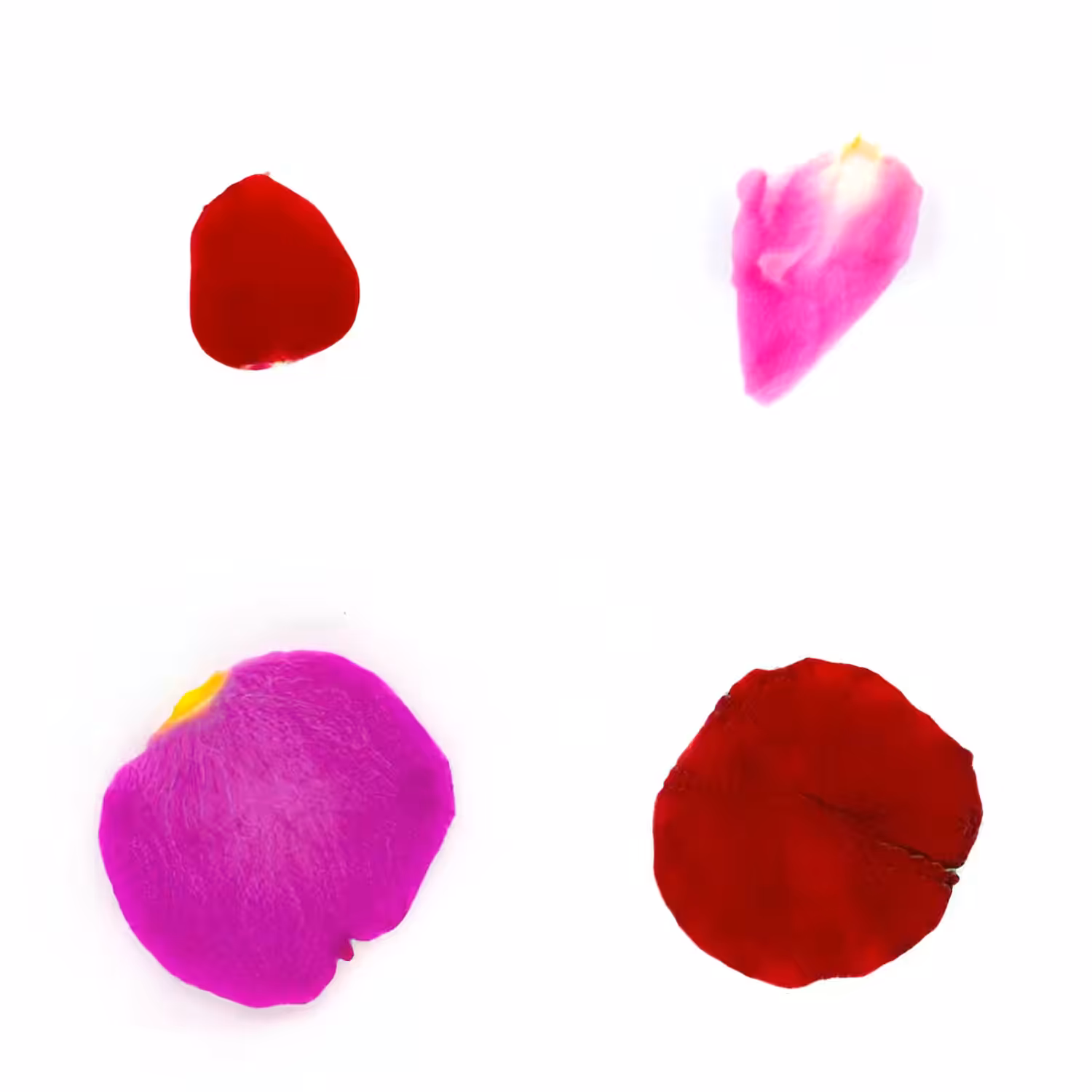 Infinite Petals 2x2#3608