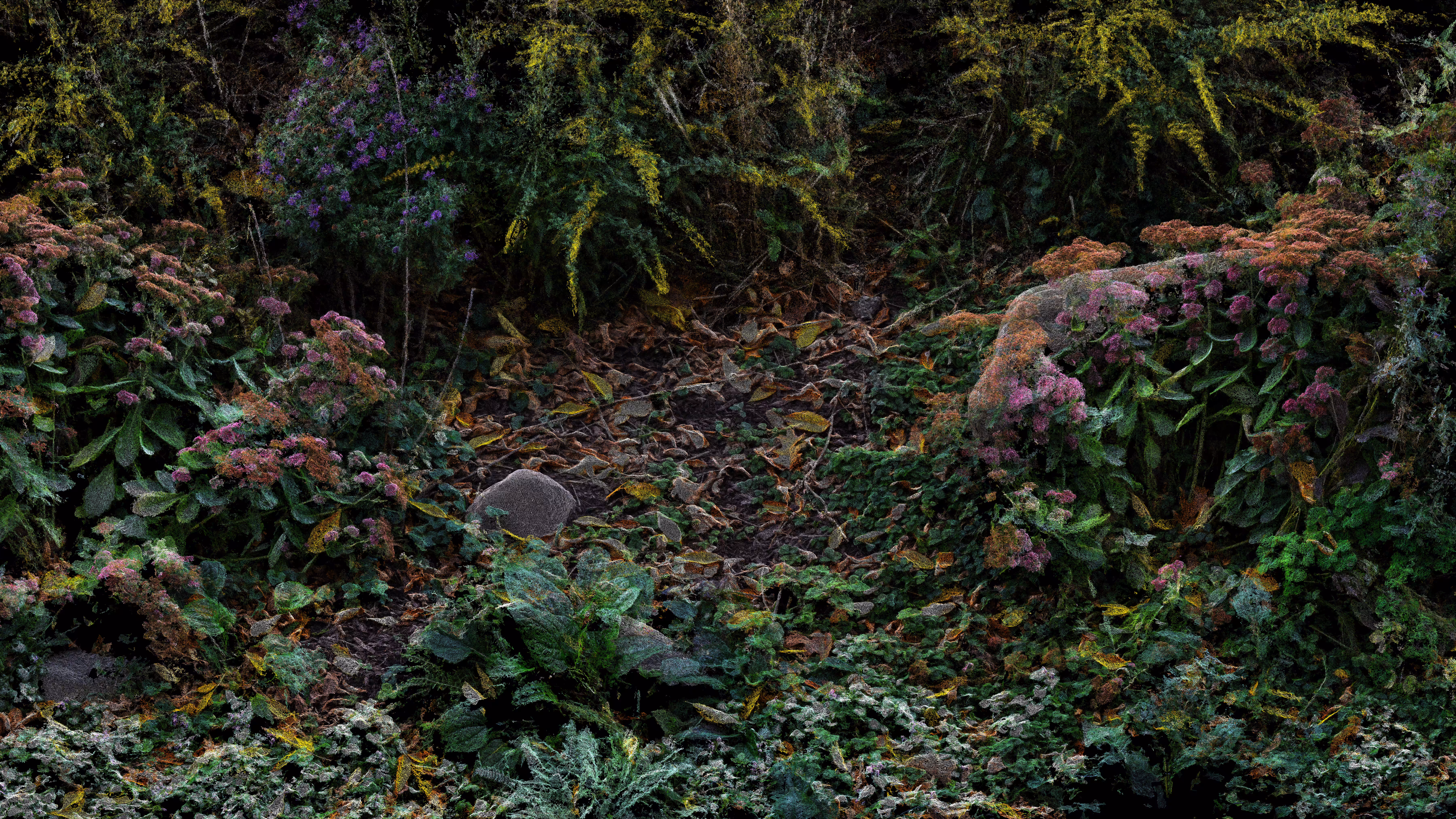 Goldenrod and Flowers, Ft Greene Park [8K version]