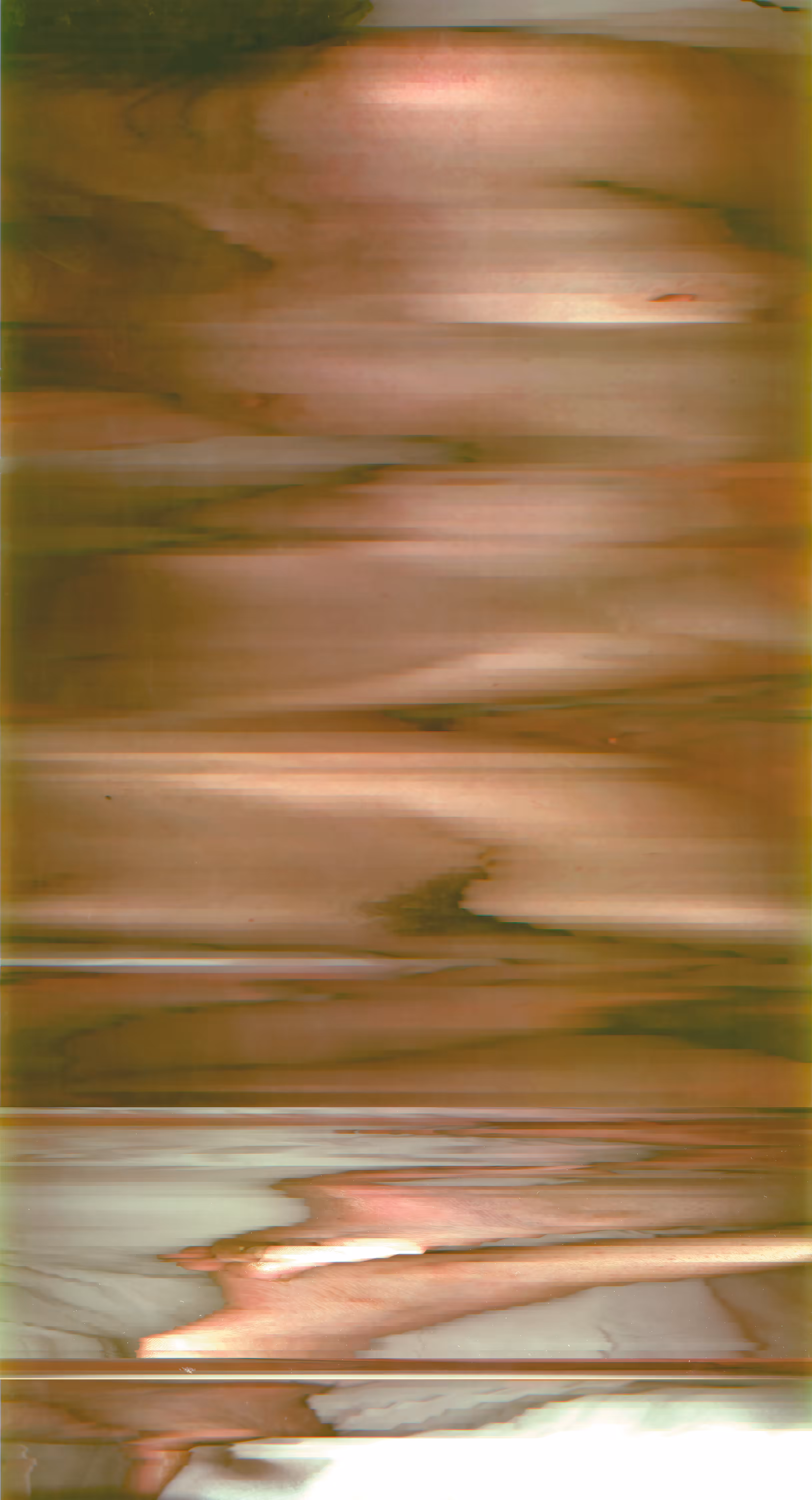 Nude Descension (after Duchamp)