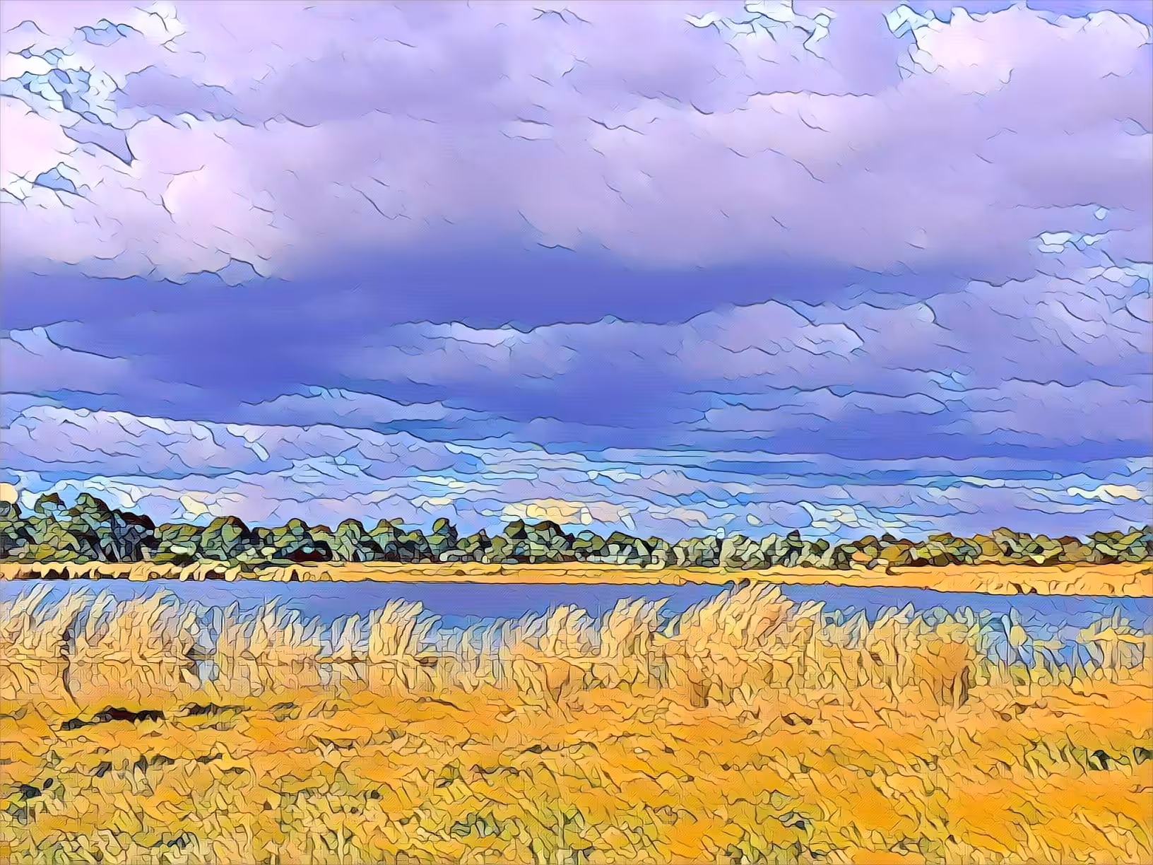 Dreamy wetlands
