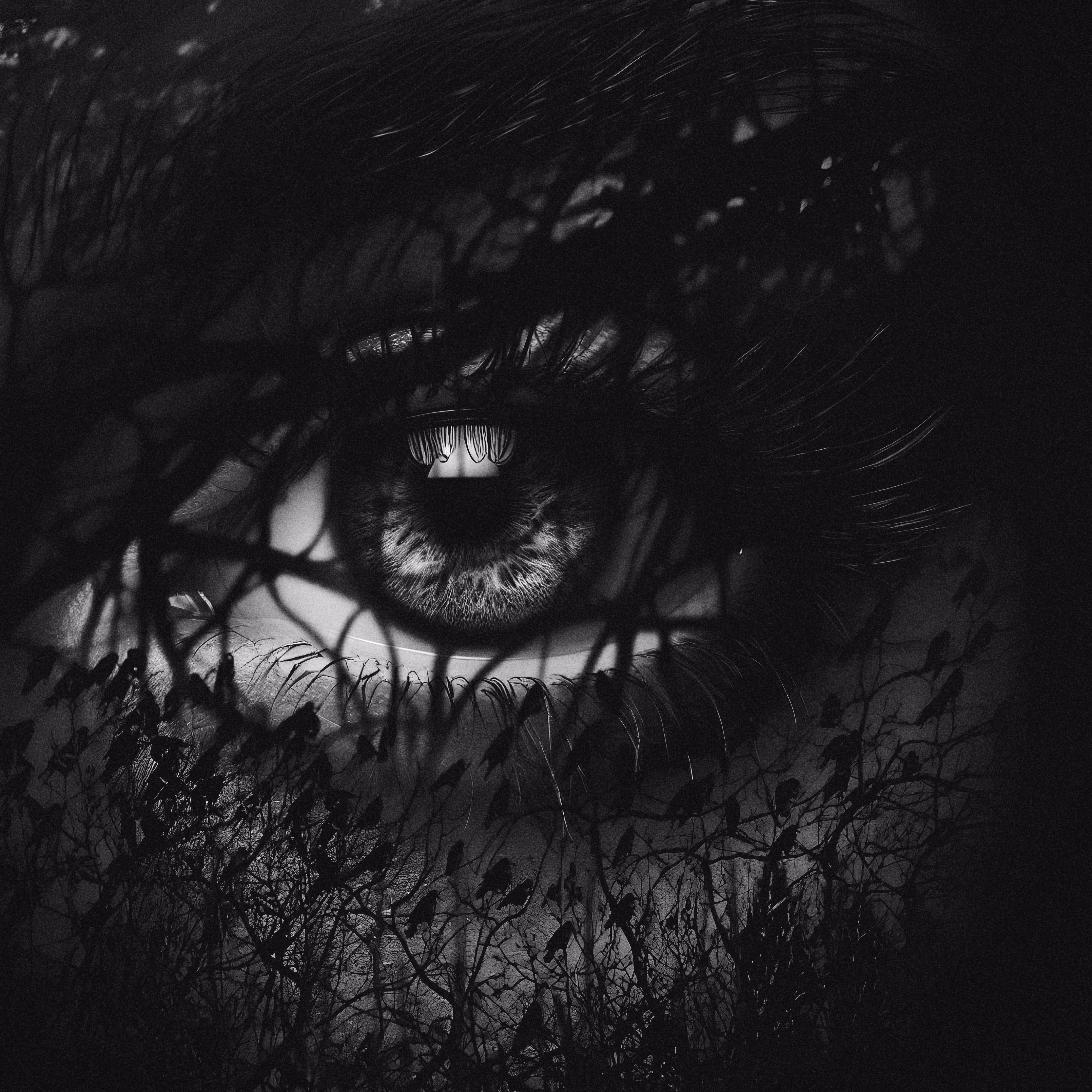 Chaotic Gaze