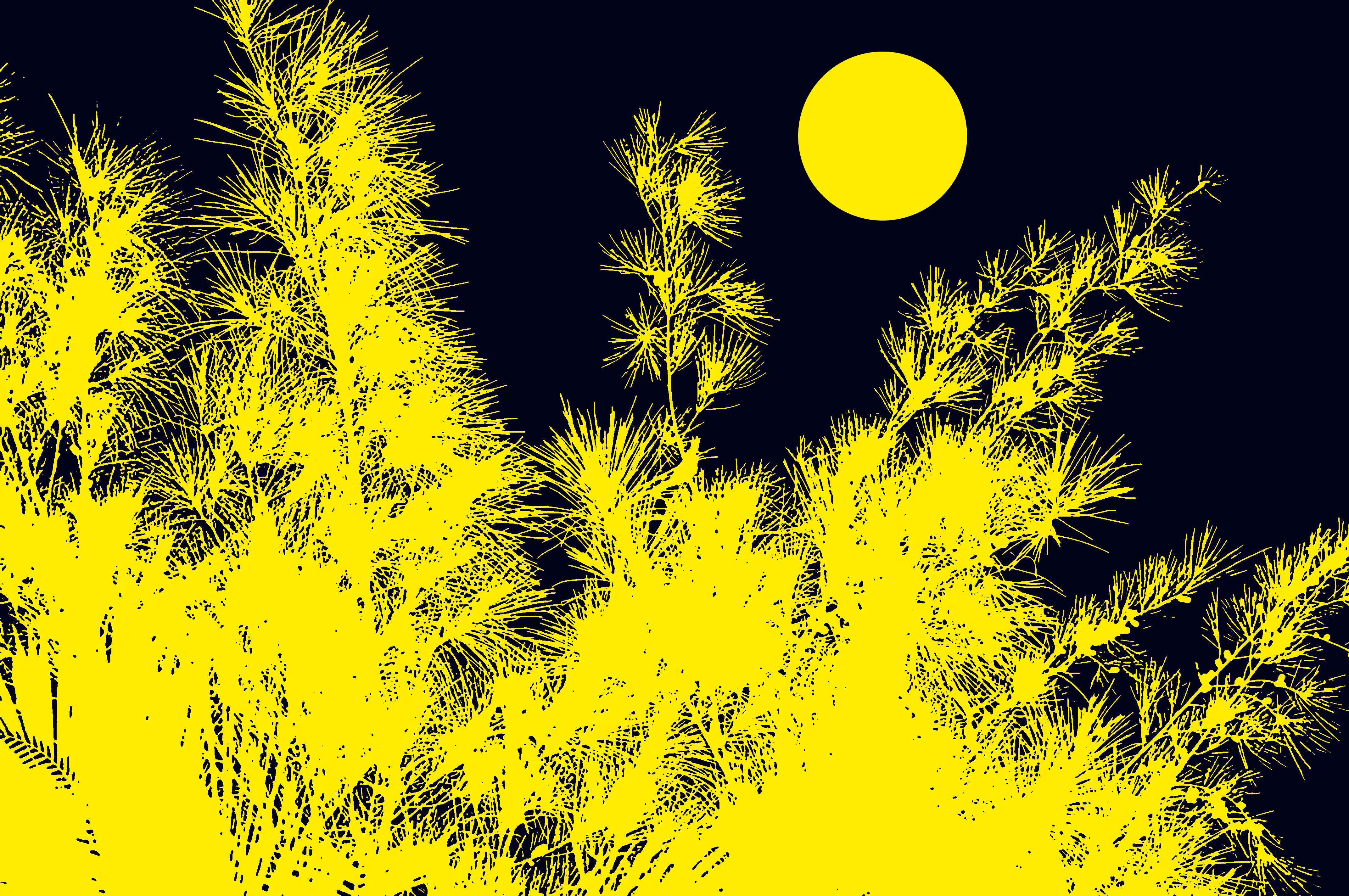 The moon view