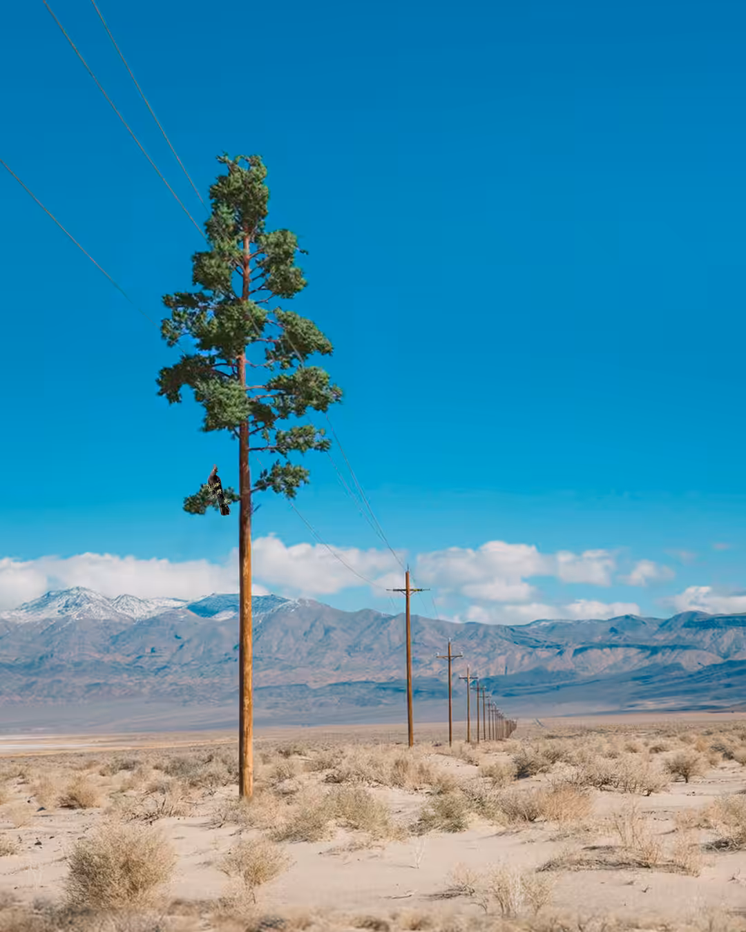 Electric tree