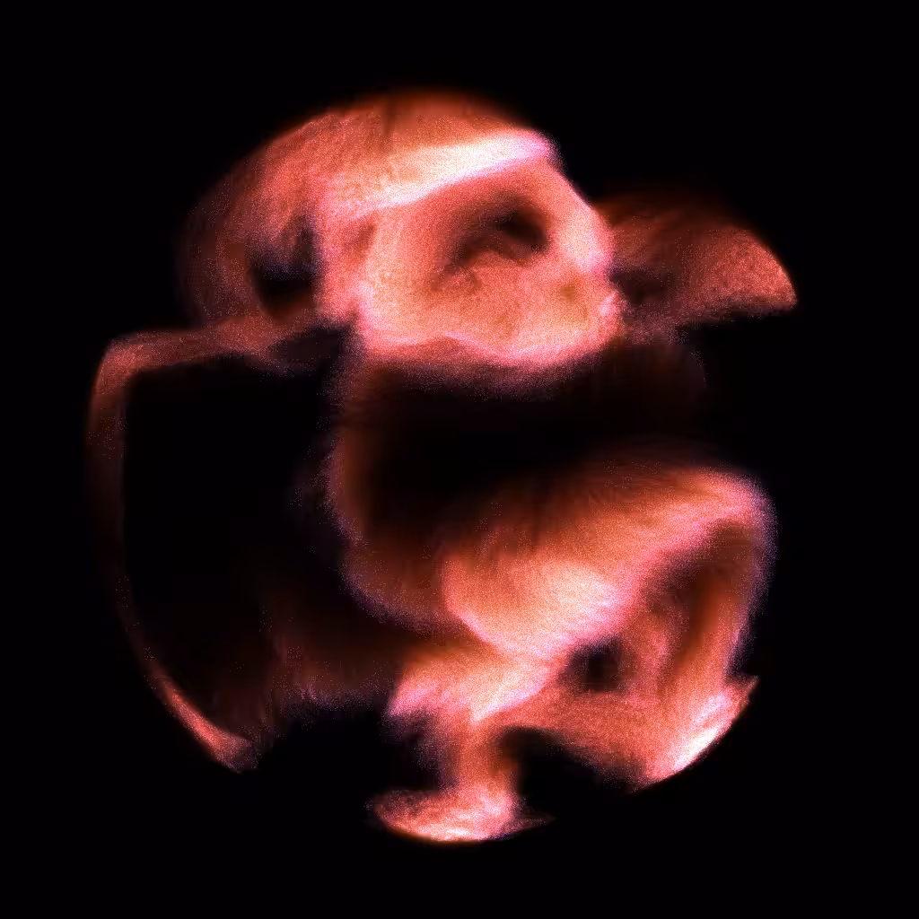 PETRI #82