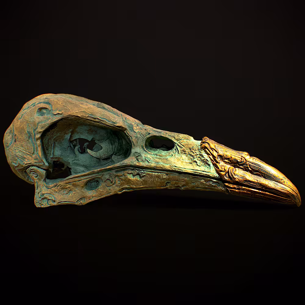 Crow skull - 003