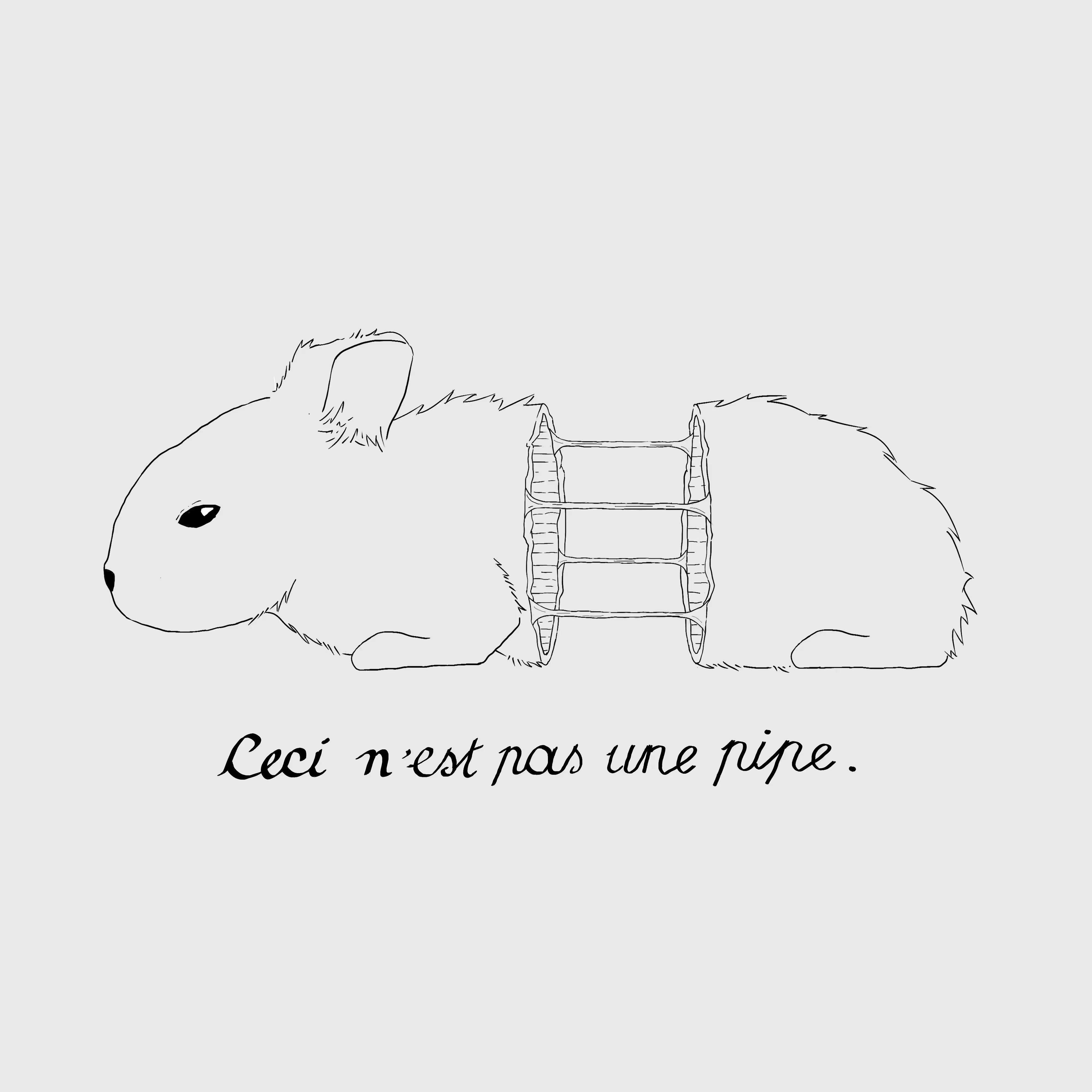 ceci n'est pas une pipe