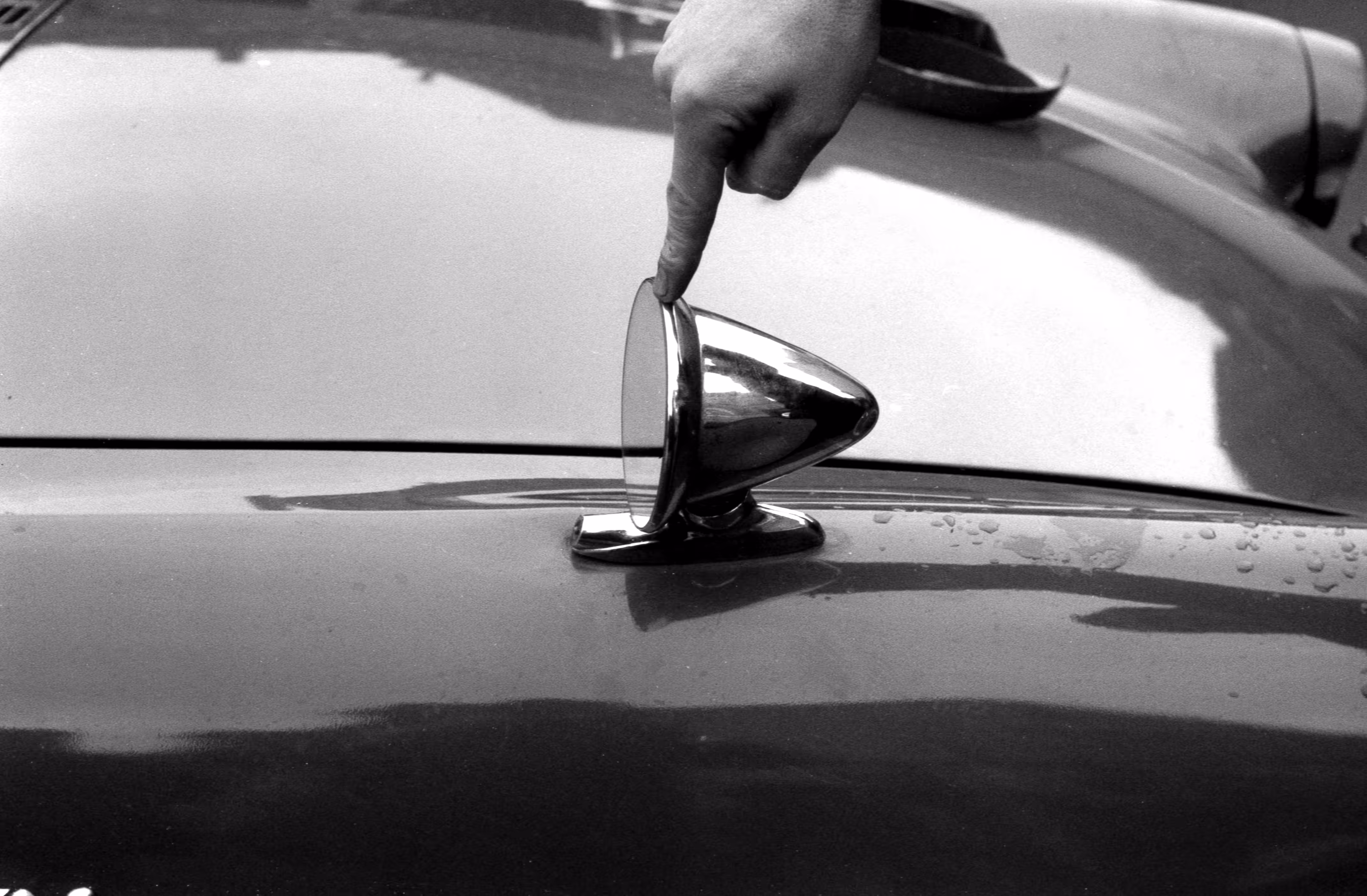 Retrovision Negative scan