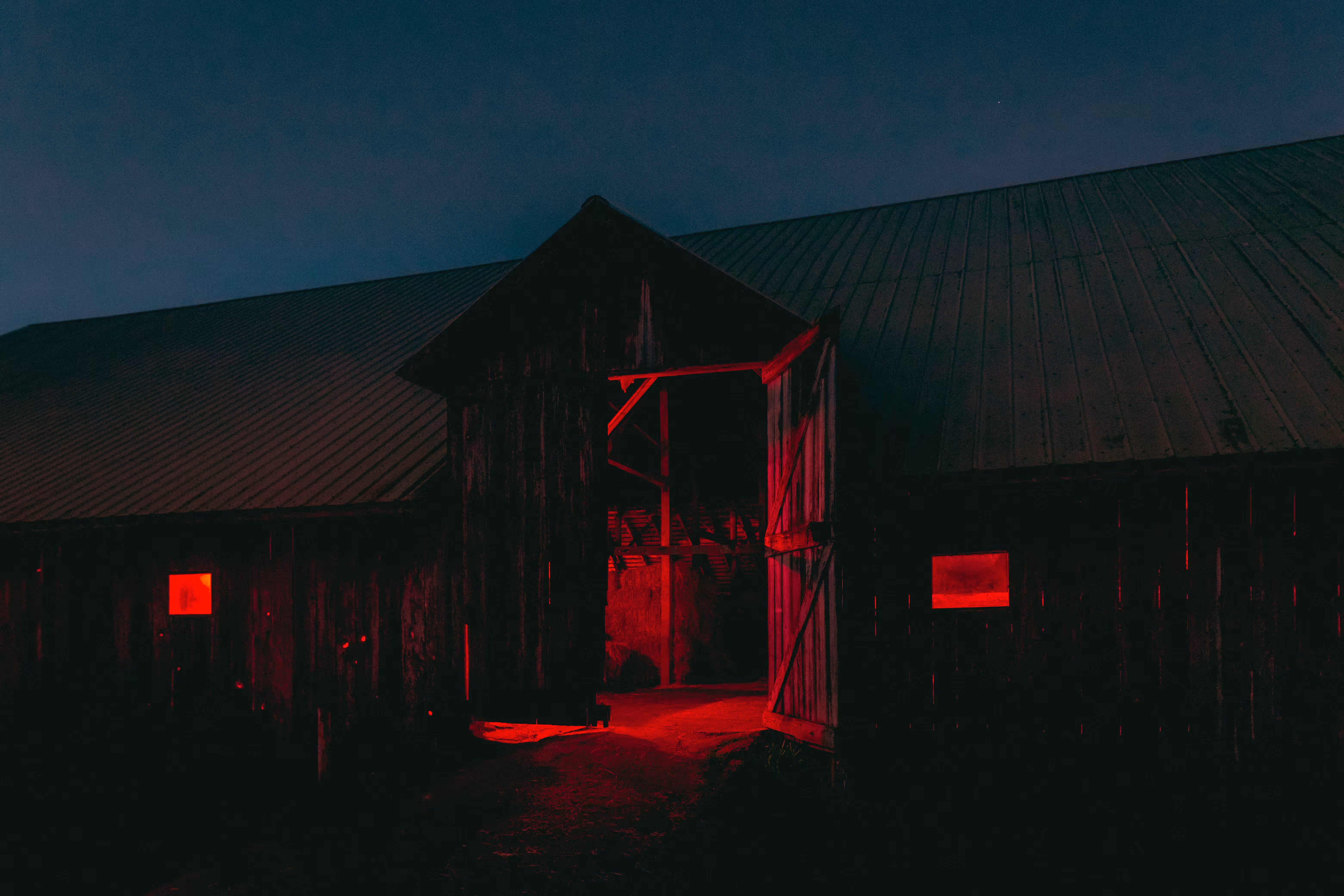 no one leaves the barn