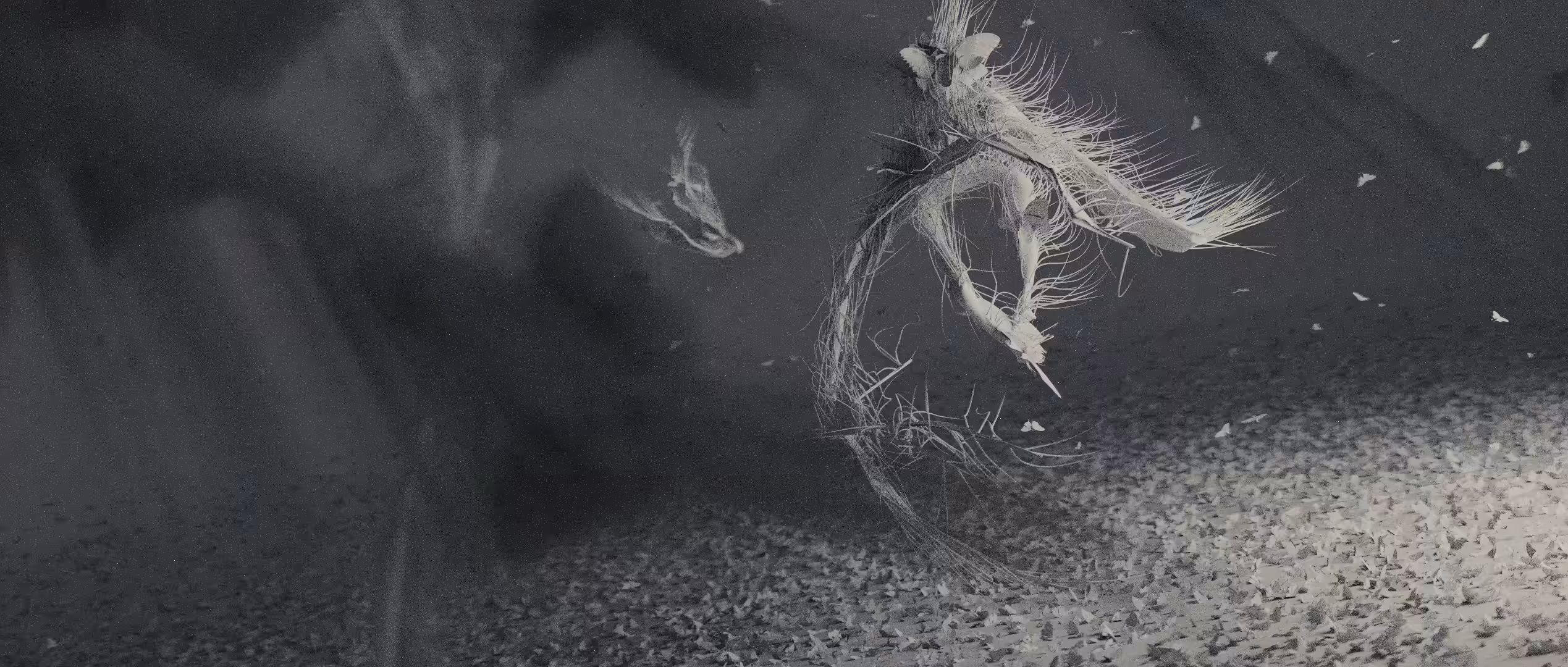Mothmen in the Moonlight