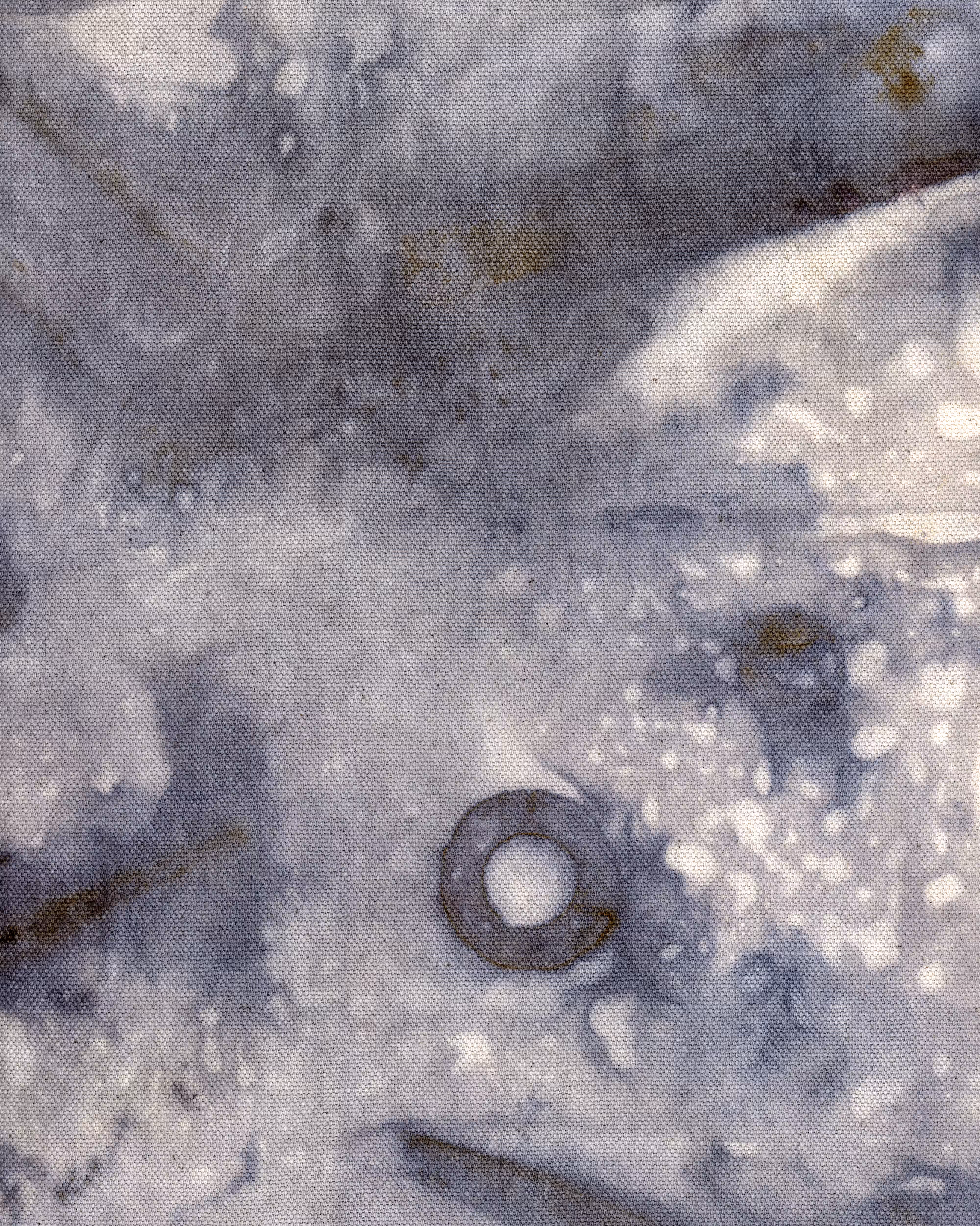 Tannic Acid
