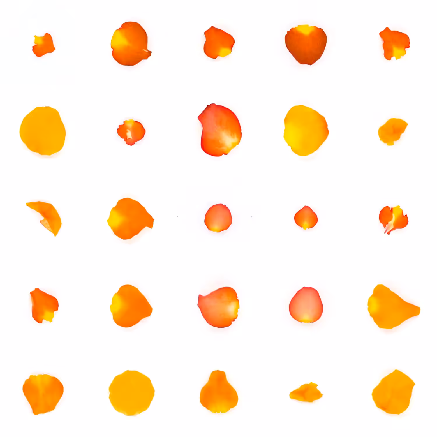 Infinite Petals 5x5#2772