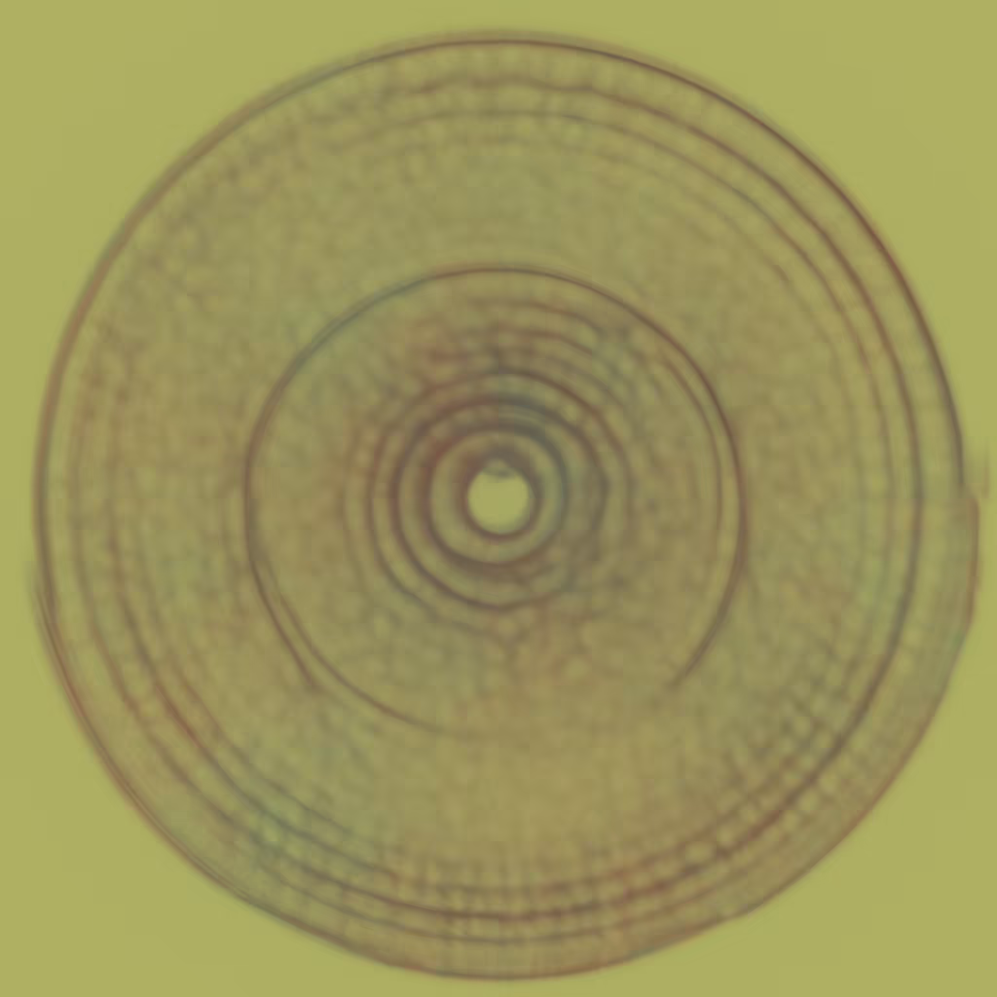 Agnoscopic #45