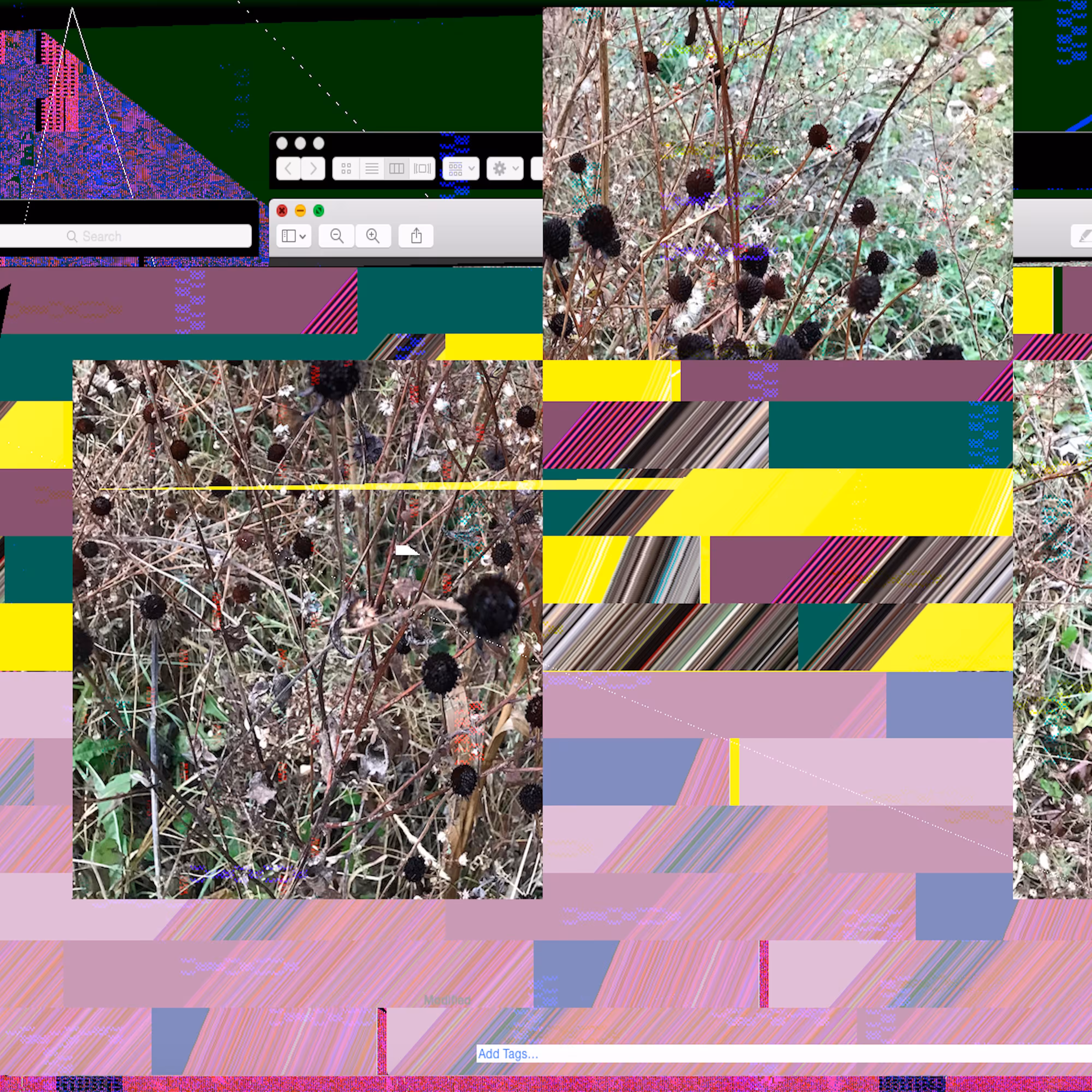 LOWREZ194