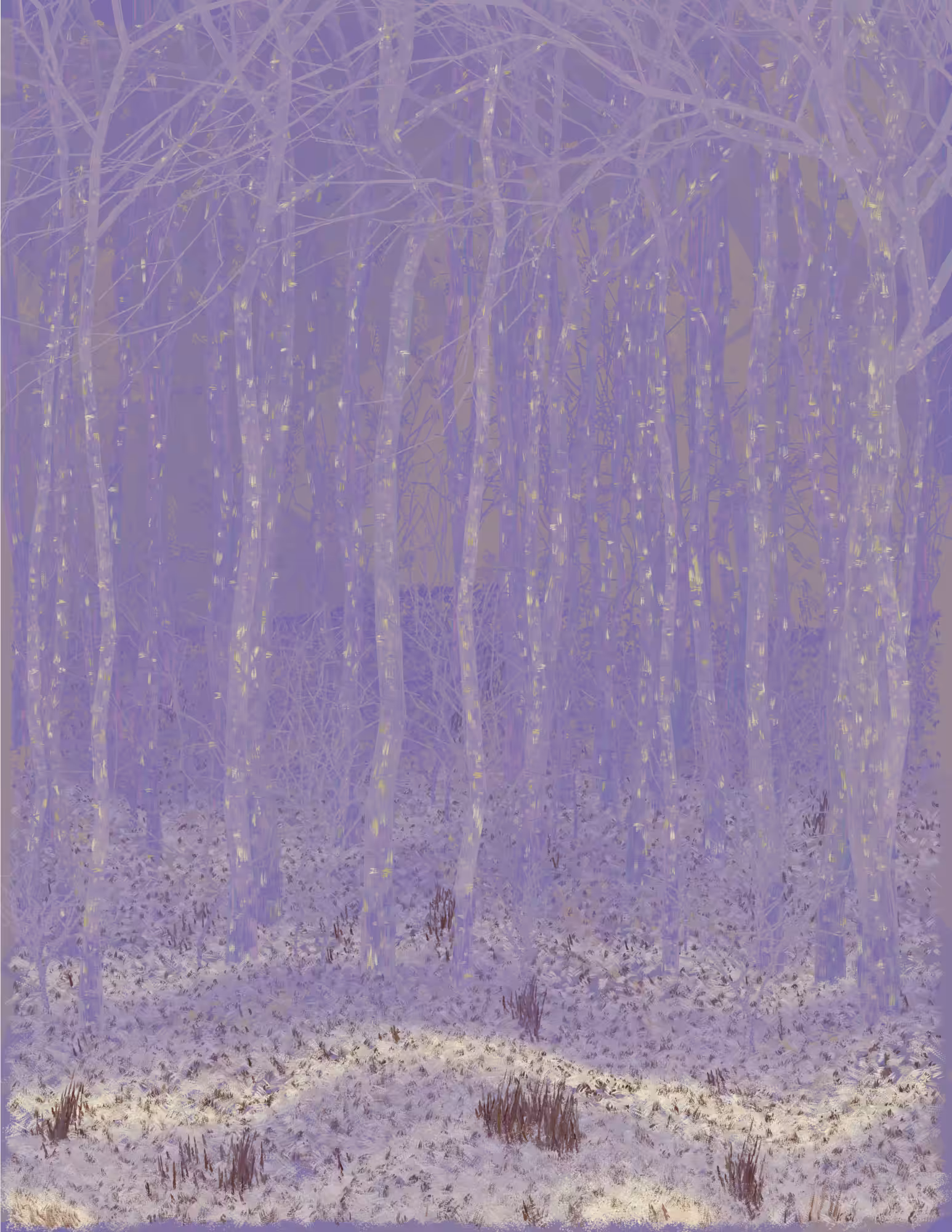 Deep Forest #74