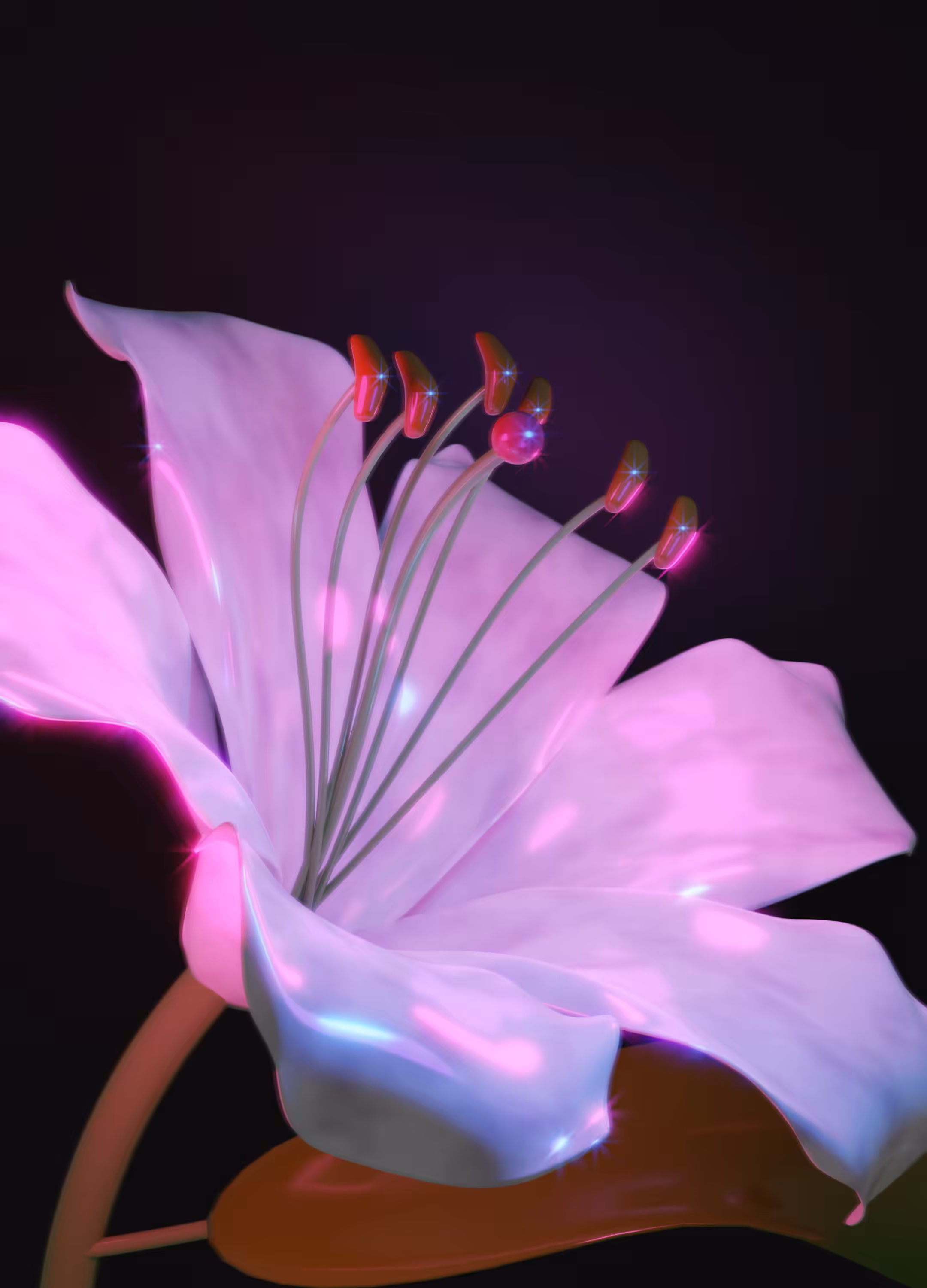 lily