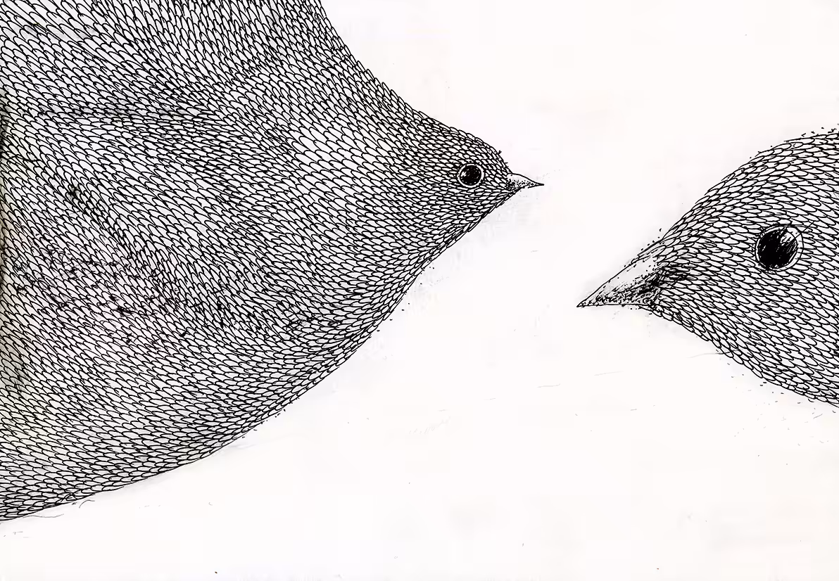 Birds II