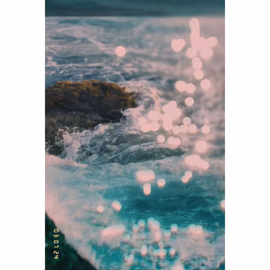 Diaries #73