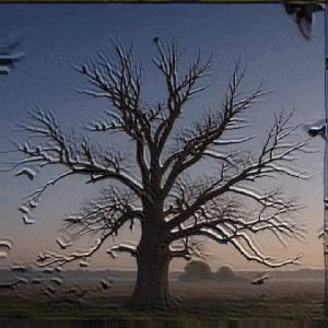 signalflock