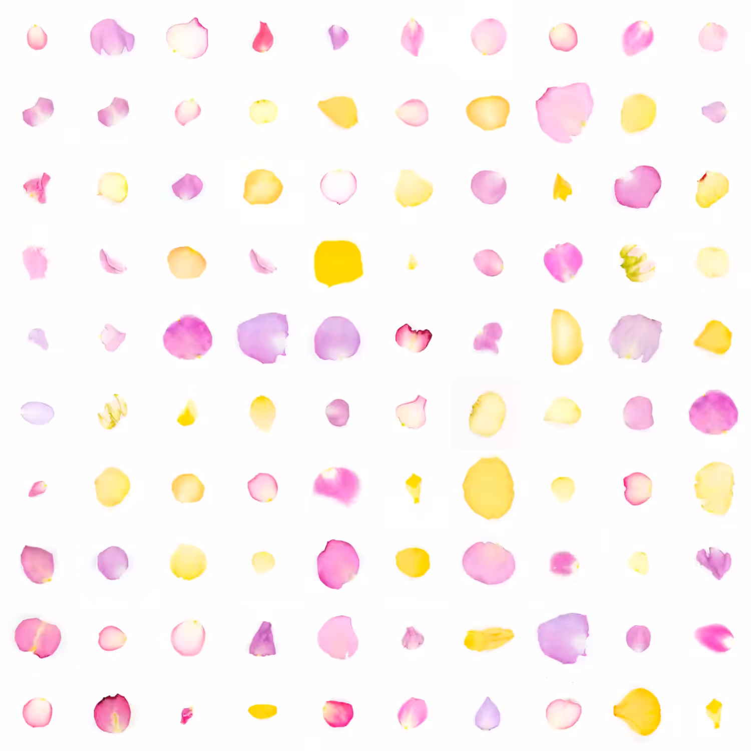 Infinite Petals 10x10#10093