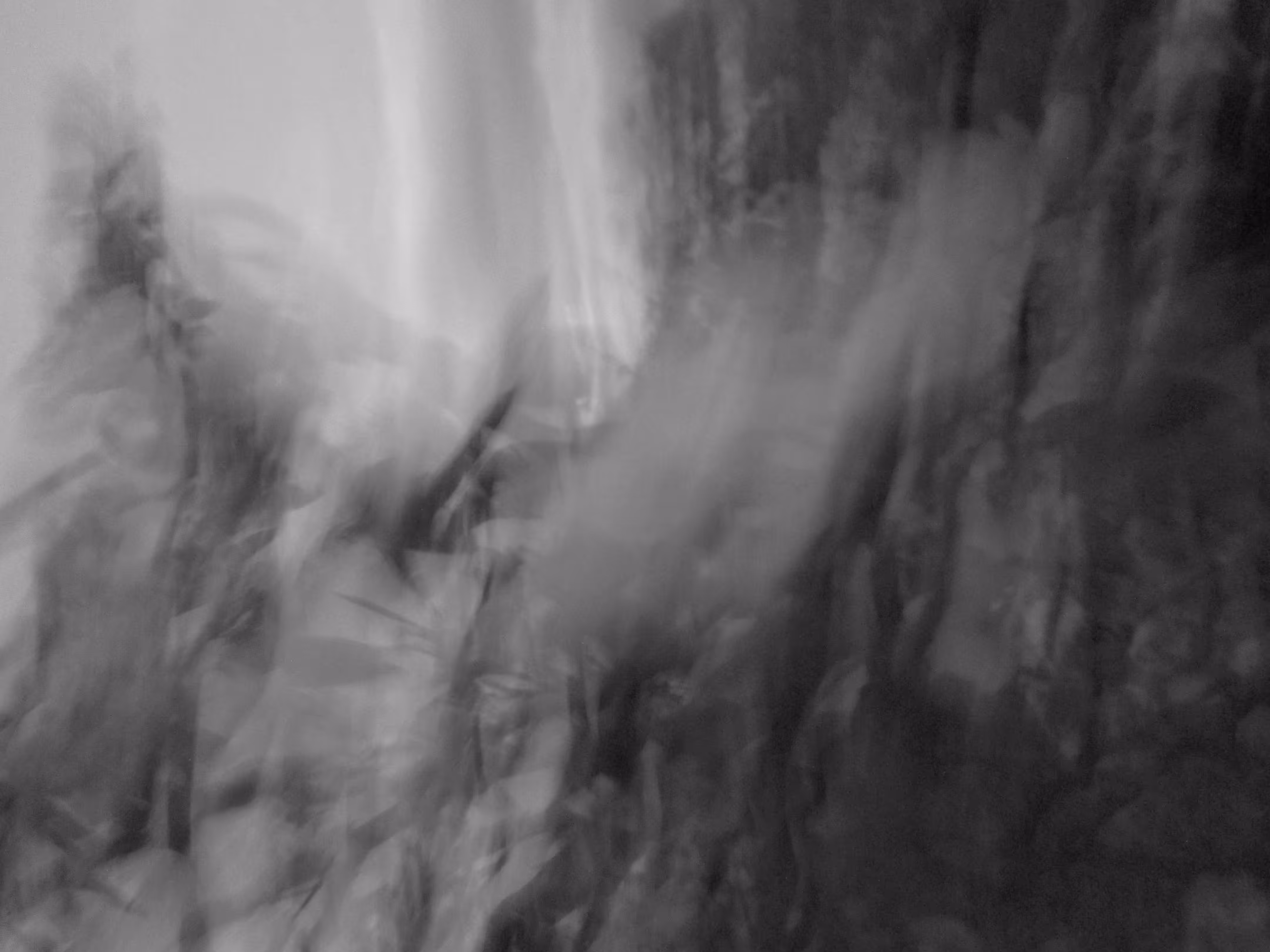Photos: Blurred image