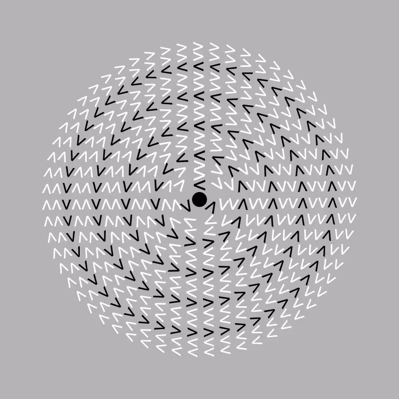 Dizzy Wheel #9