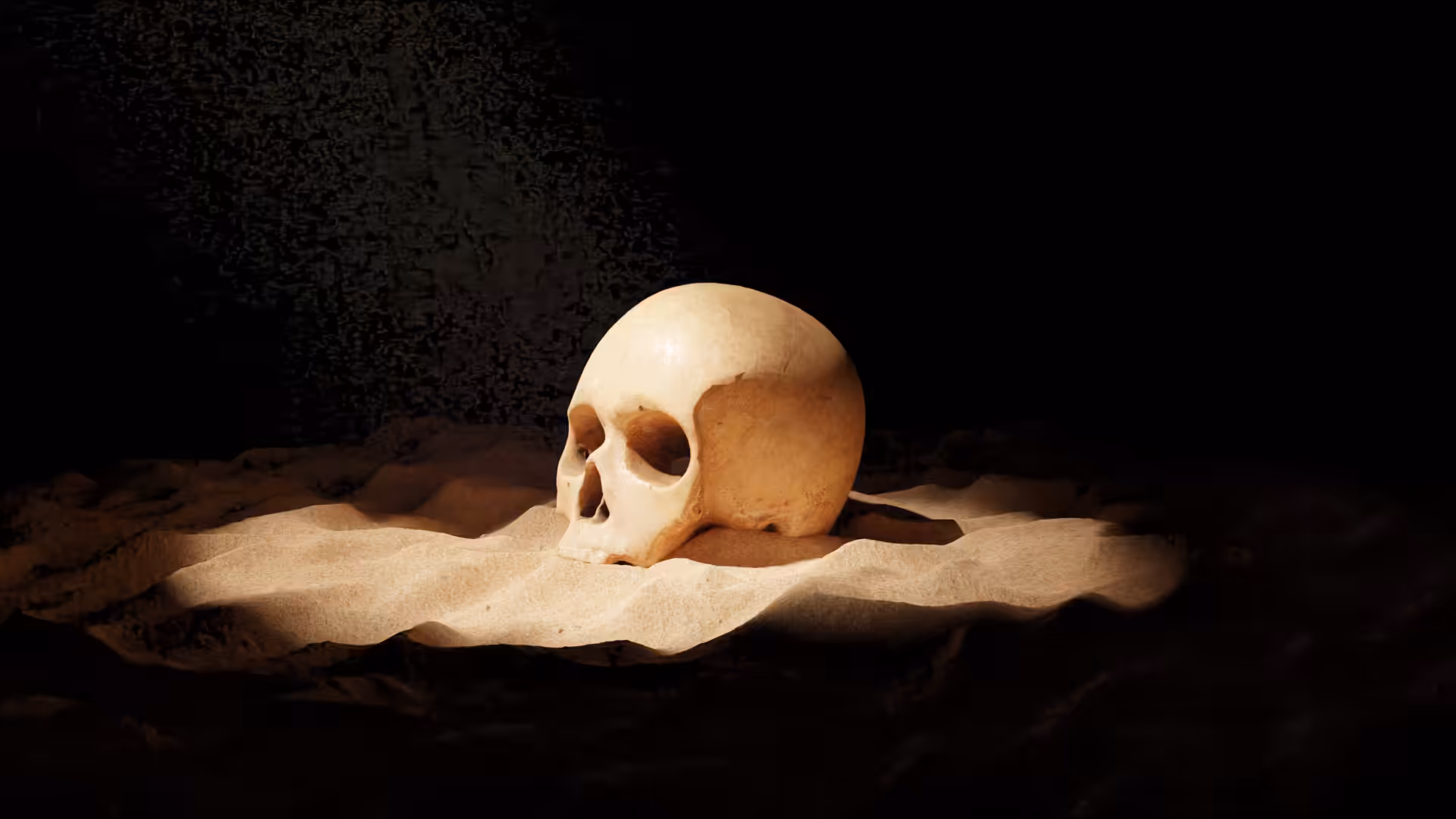 Skull Desert