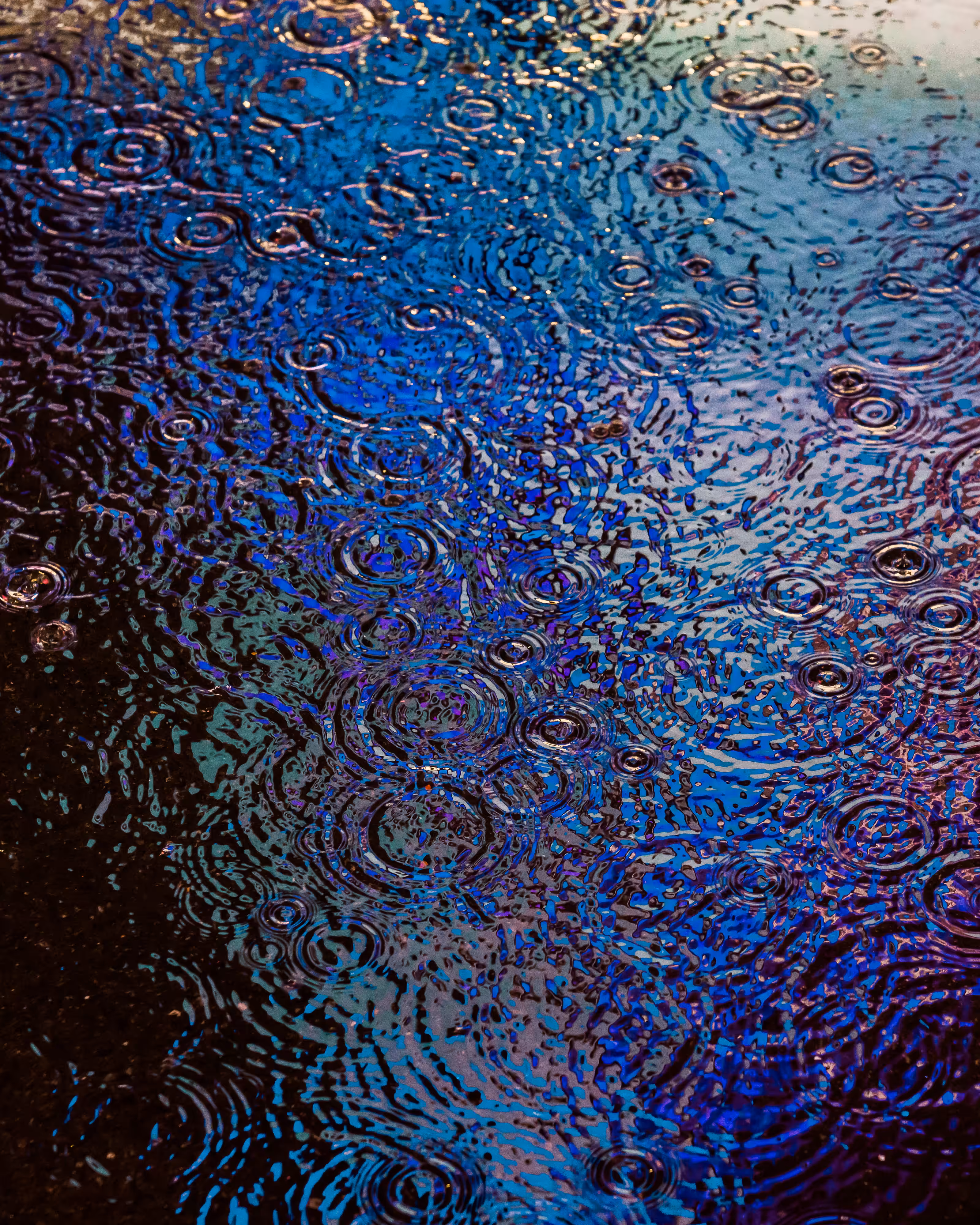 DRIP DROP: DRIP #989
