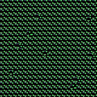 CGA Safari #75