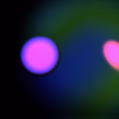 Shapes and Sounds