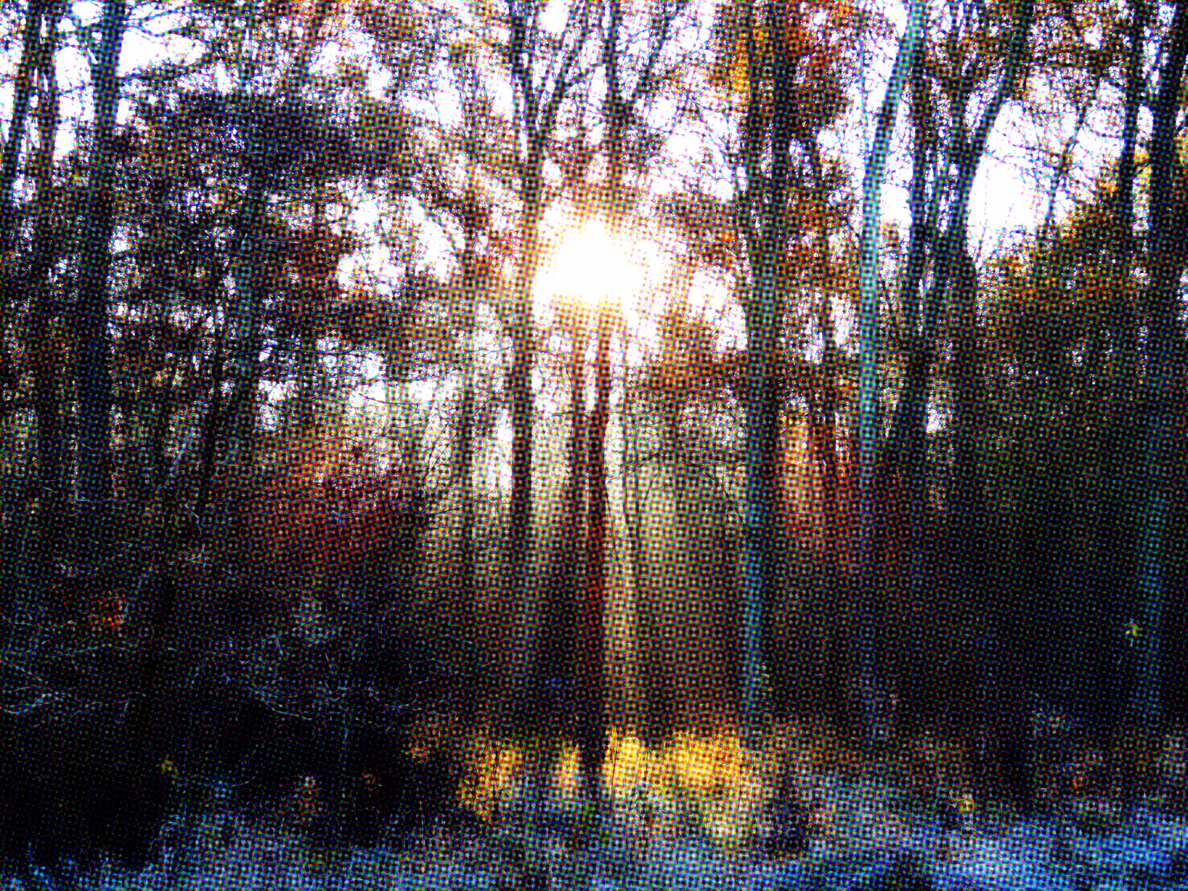 Seasons 04 - Winter