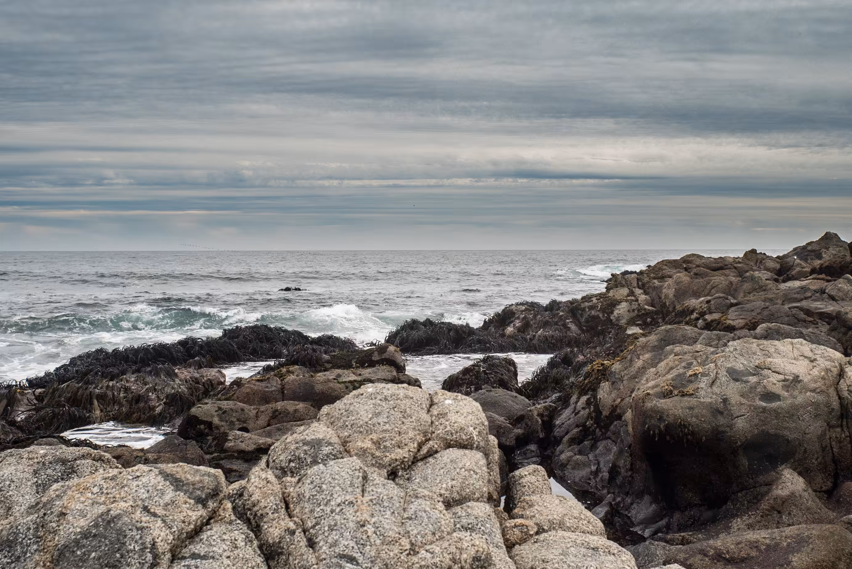The Open Pacific