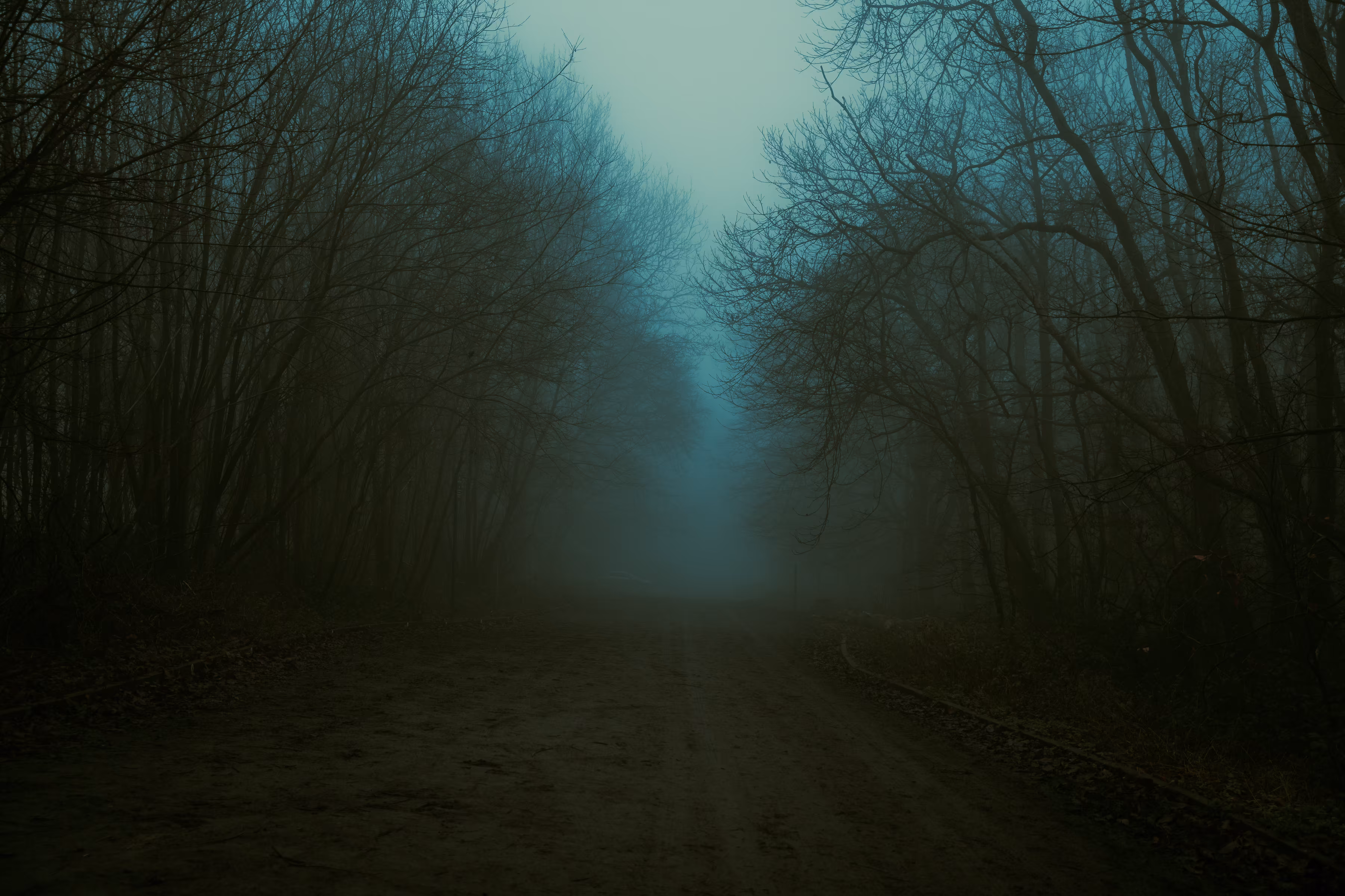 The never ending path