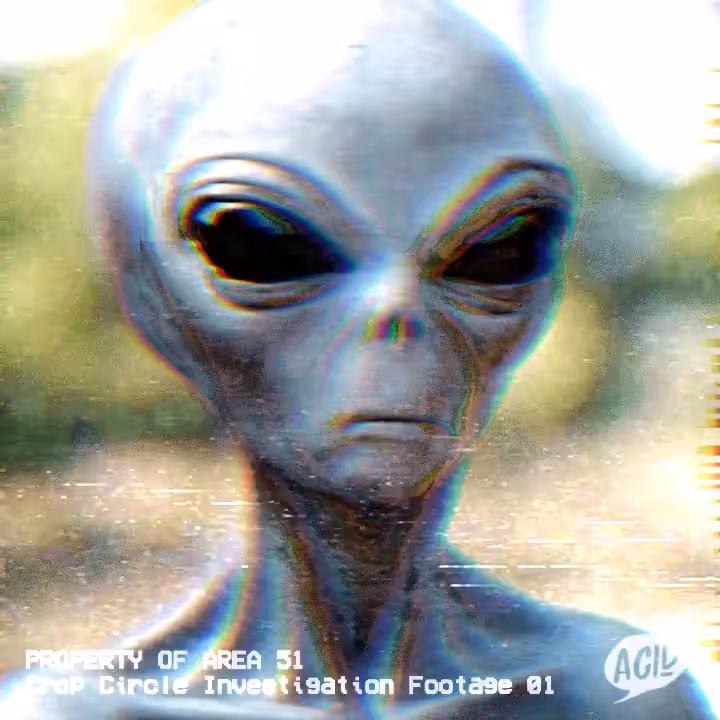 A51 12