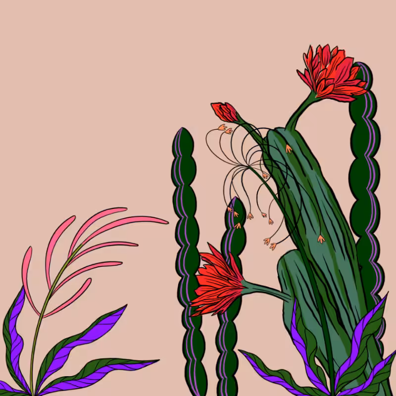 Desert Exuberance #18