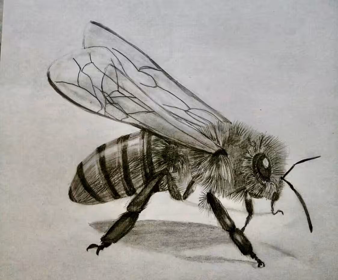 Bee