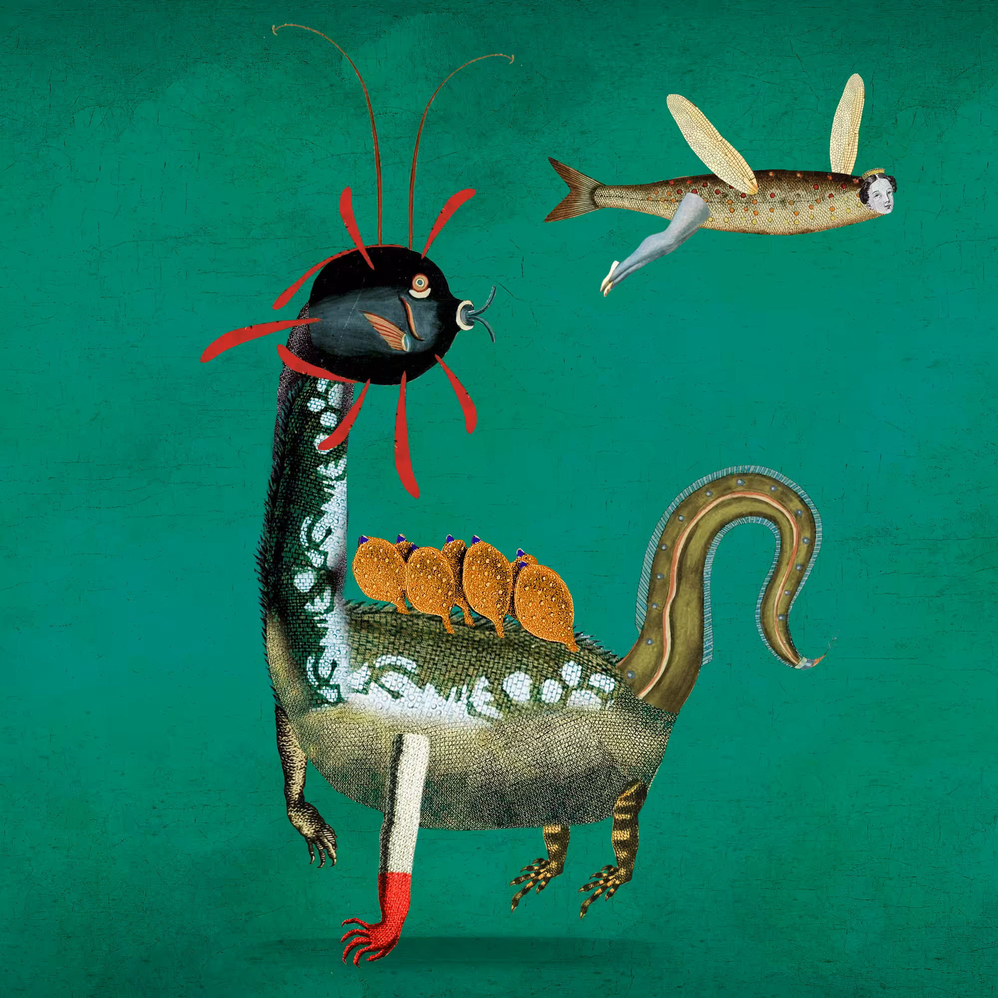 Impossible Creature #84