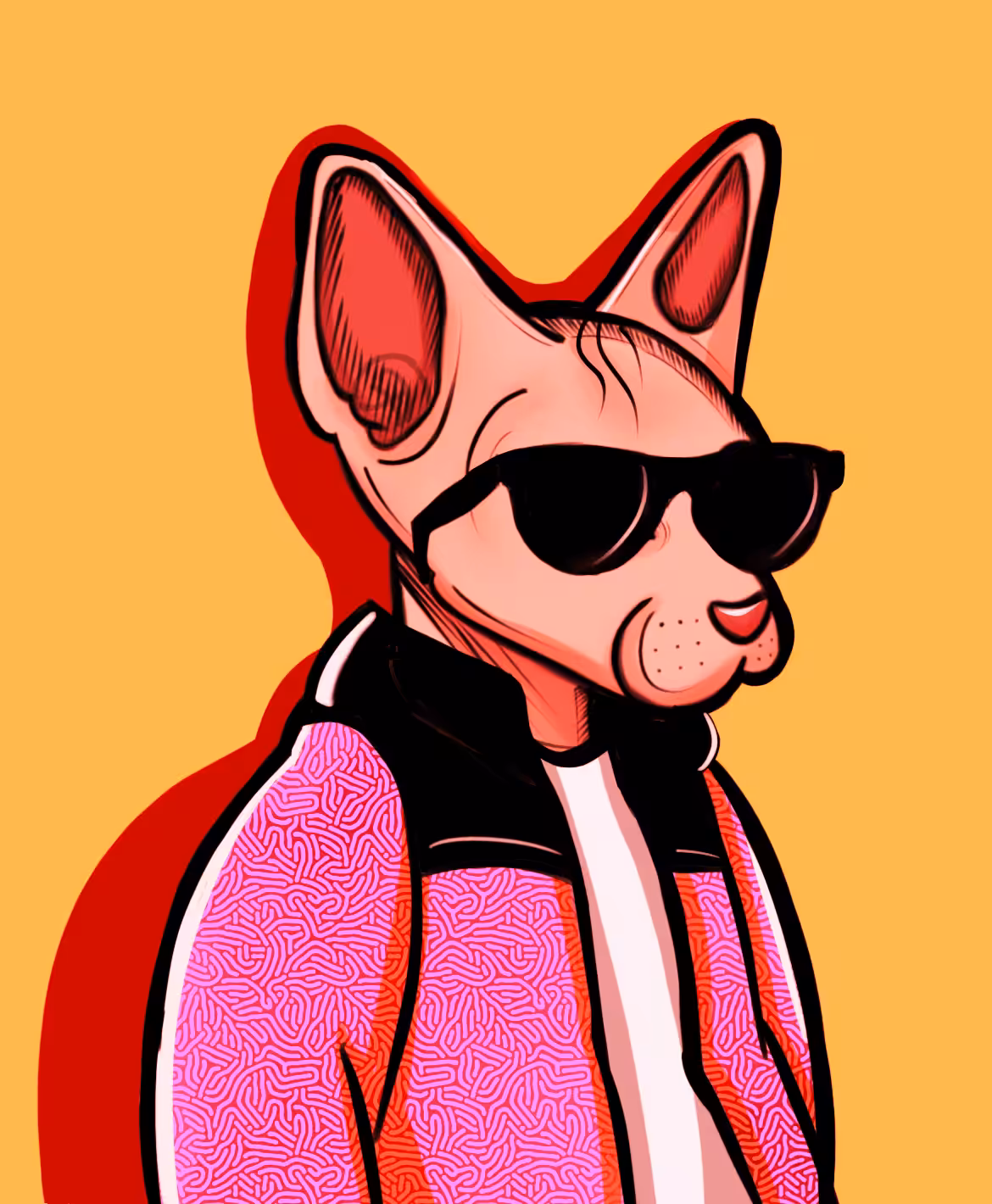 Gangster Sphynx cat #2
