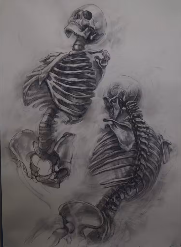 Anatomy study