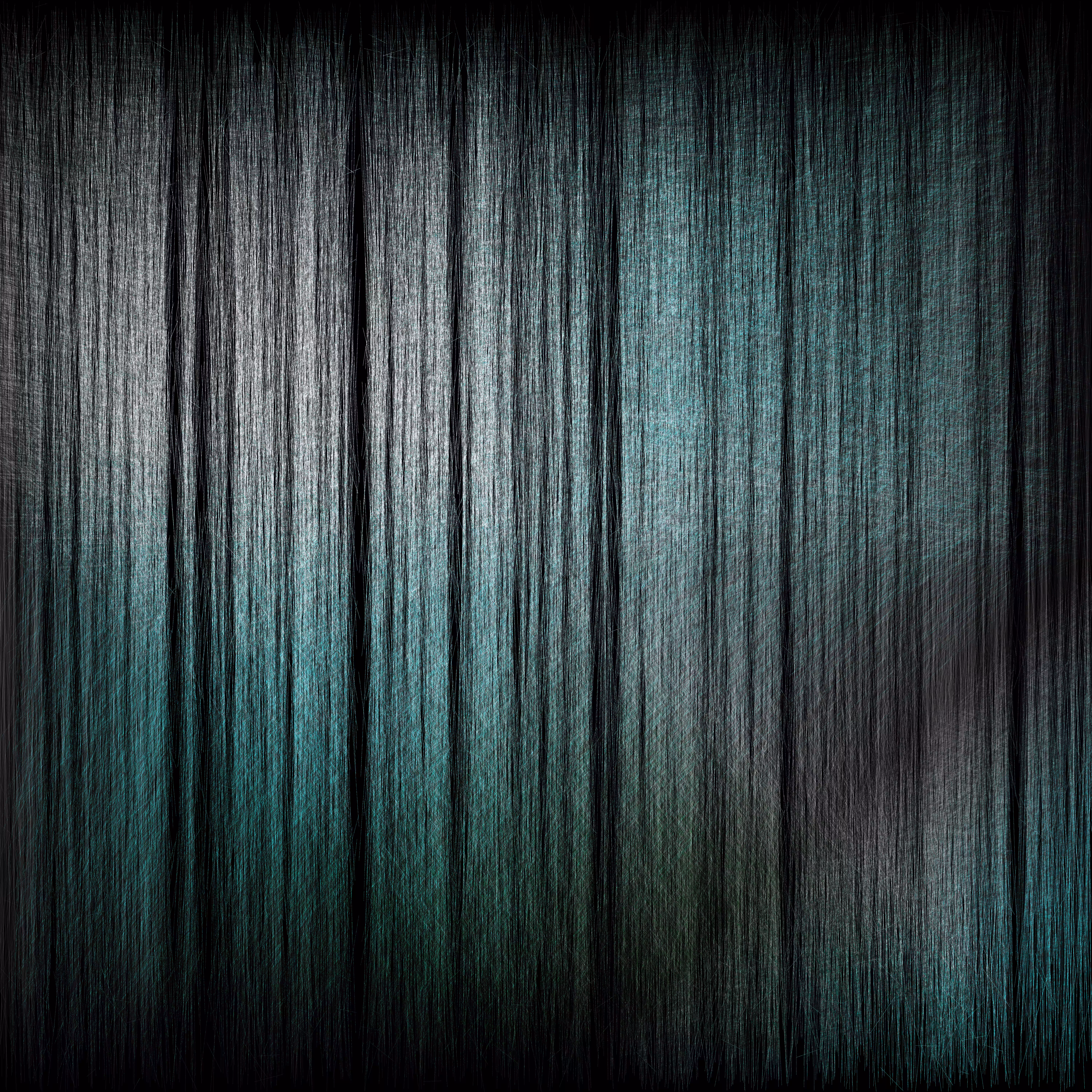 Ephemera Black