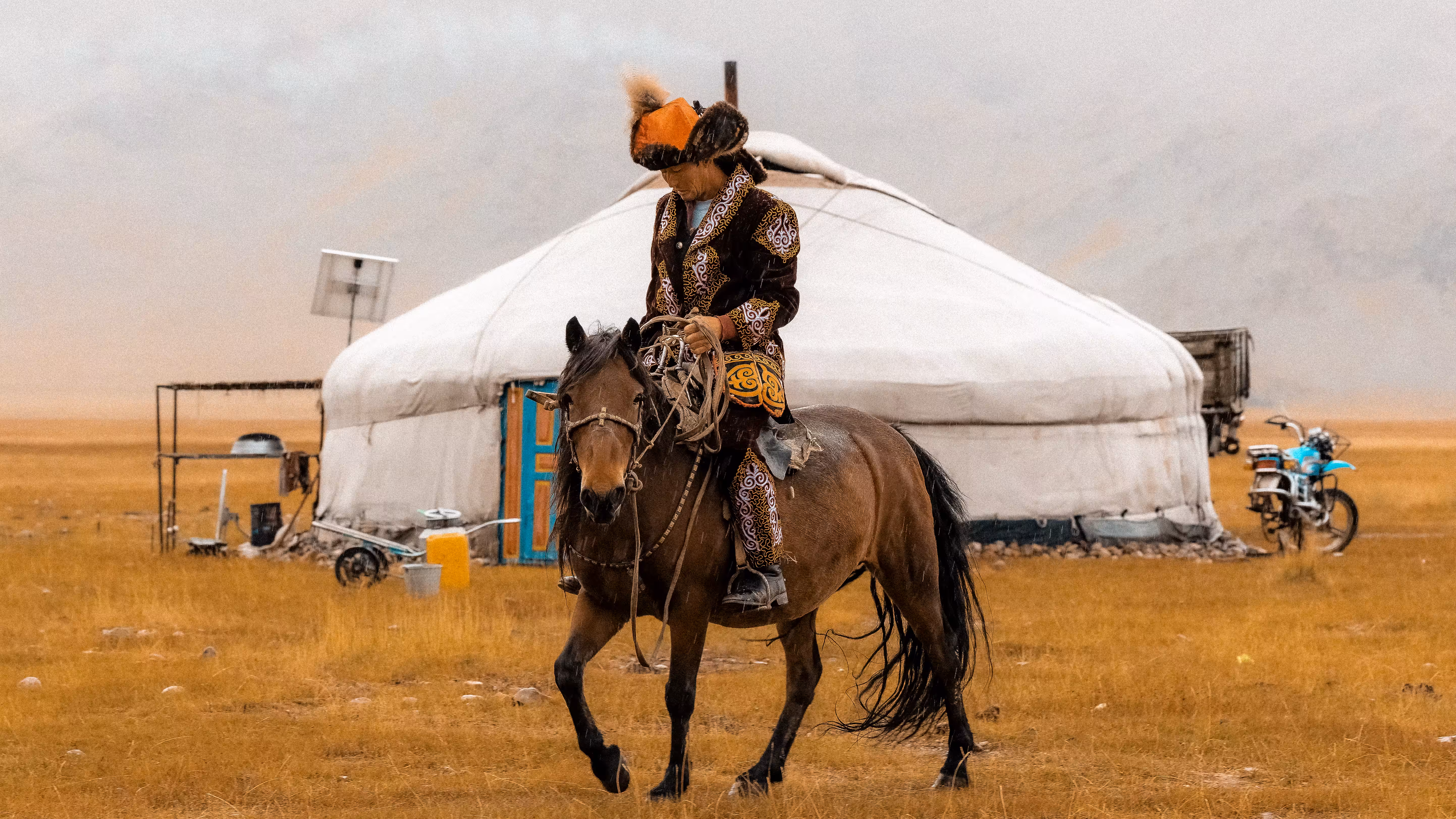 Save A Motorcycle, Ride A Horse
