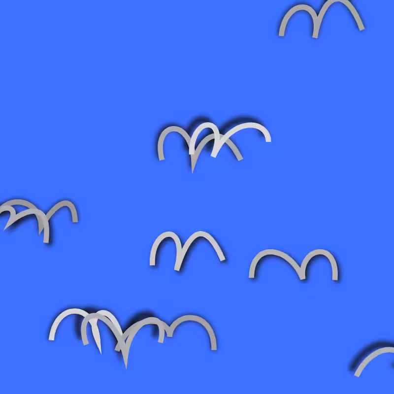 Birds #5