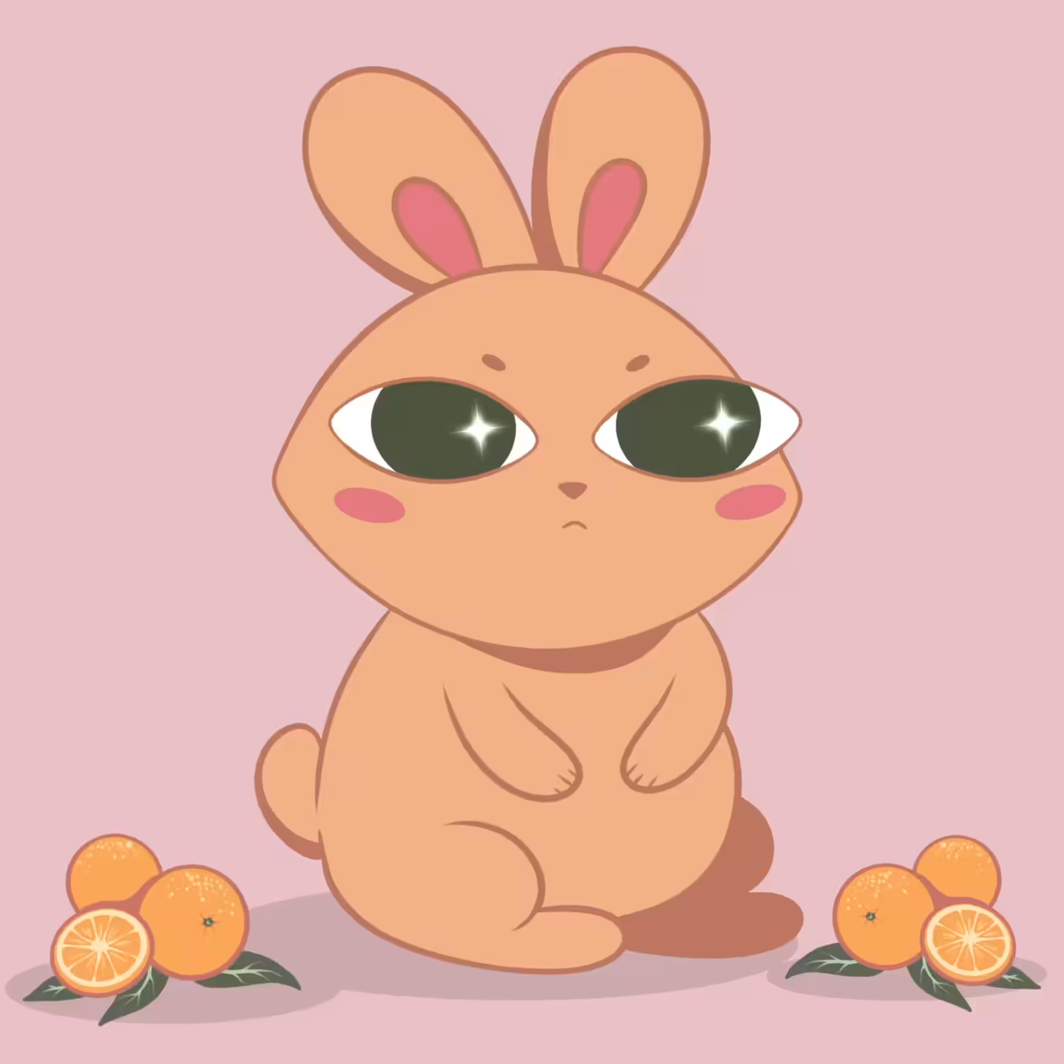 Orange Rabbit