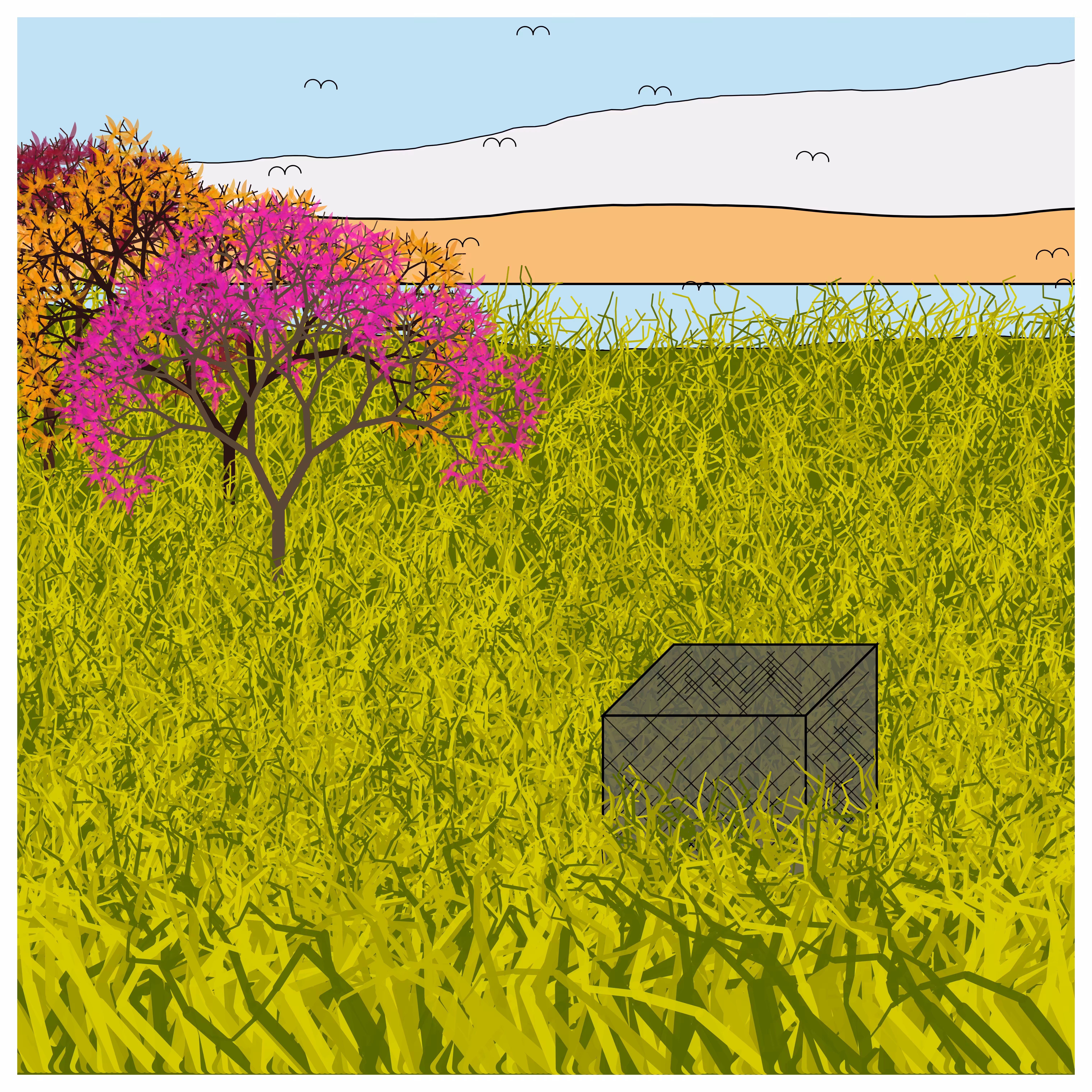 Cube Forest #83
