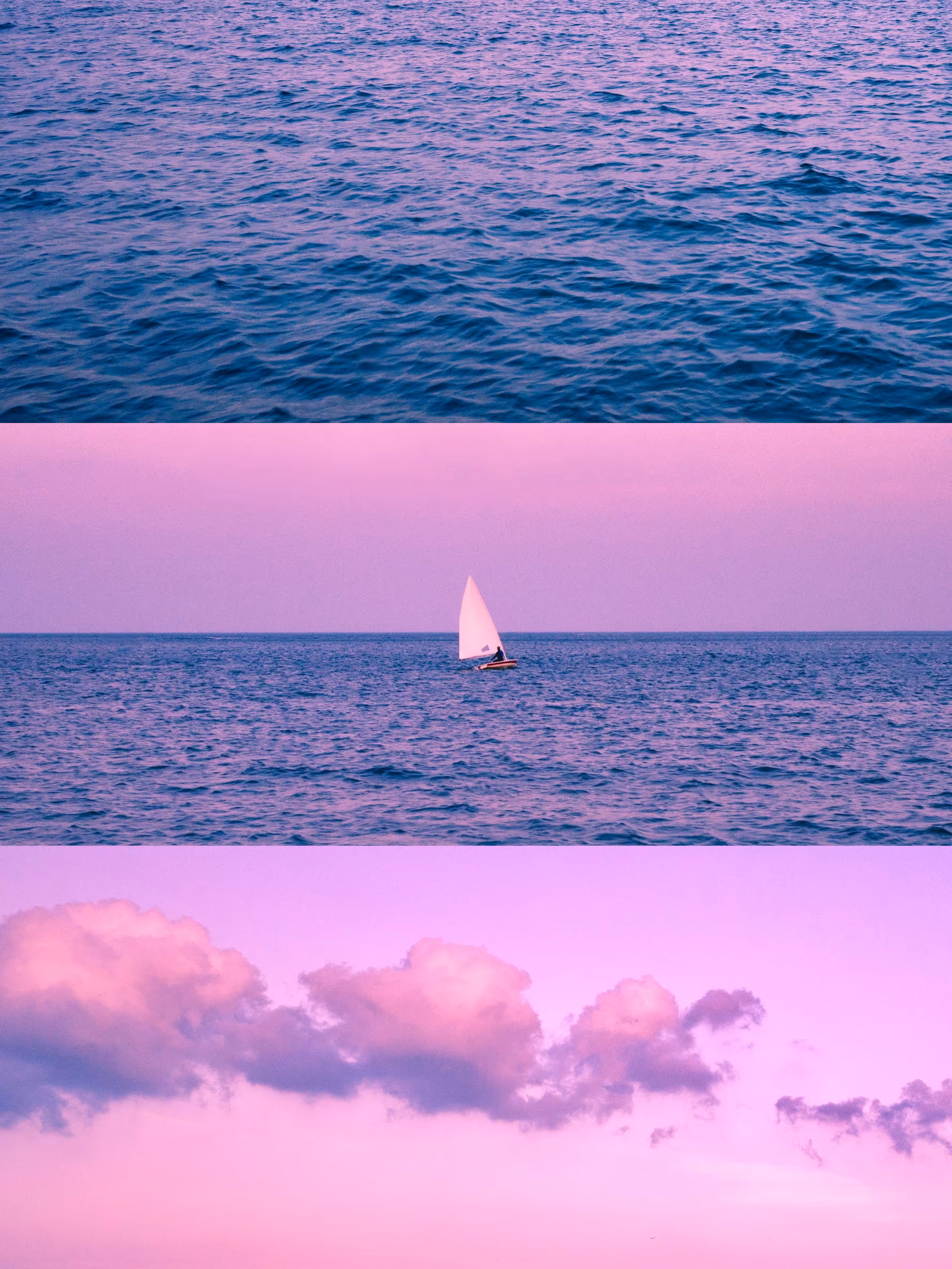 Sail