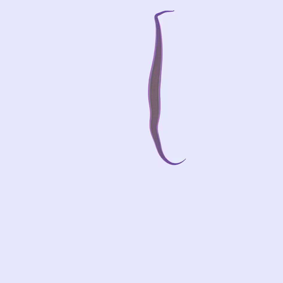 Metawormoid #1