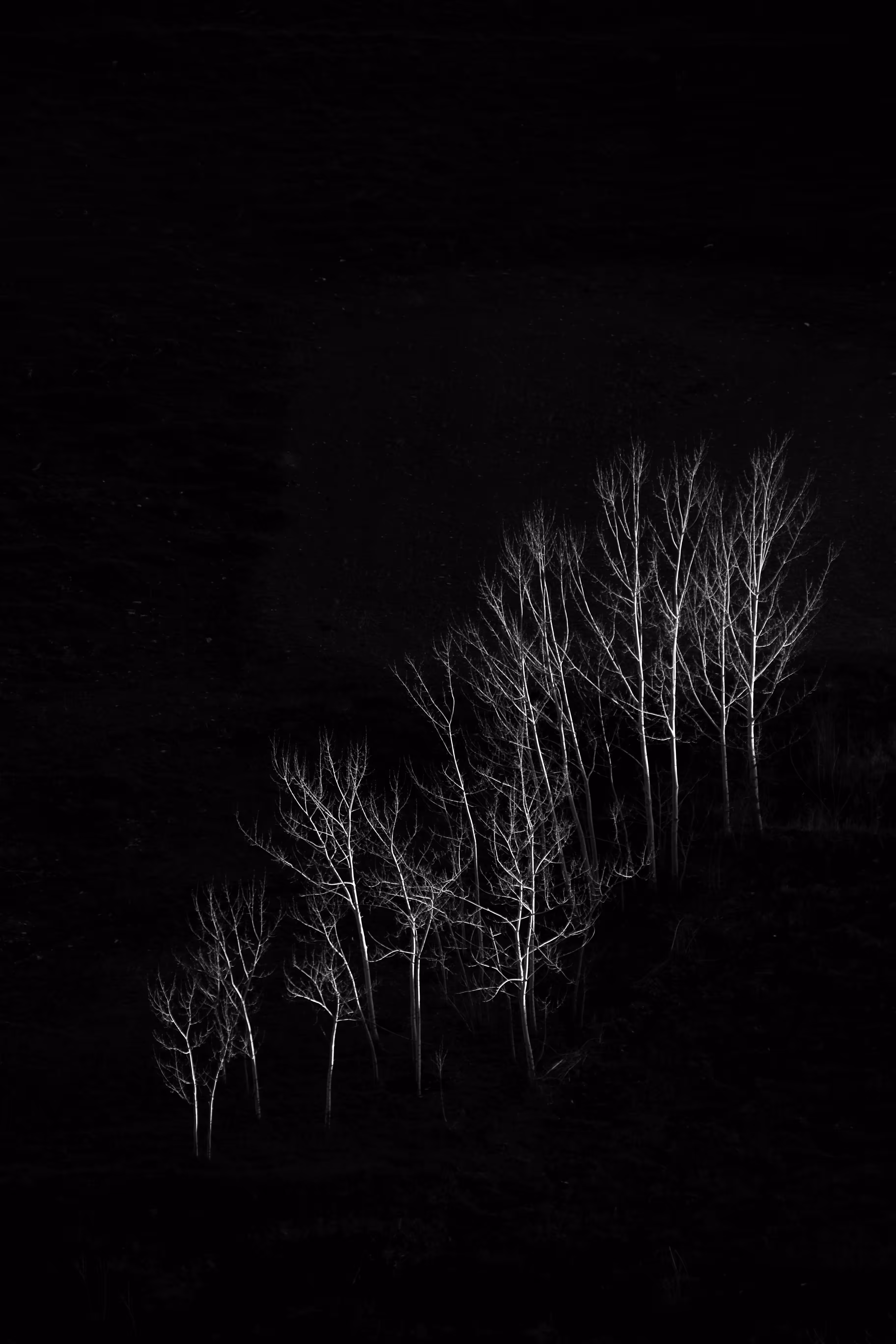 Light and Shadow