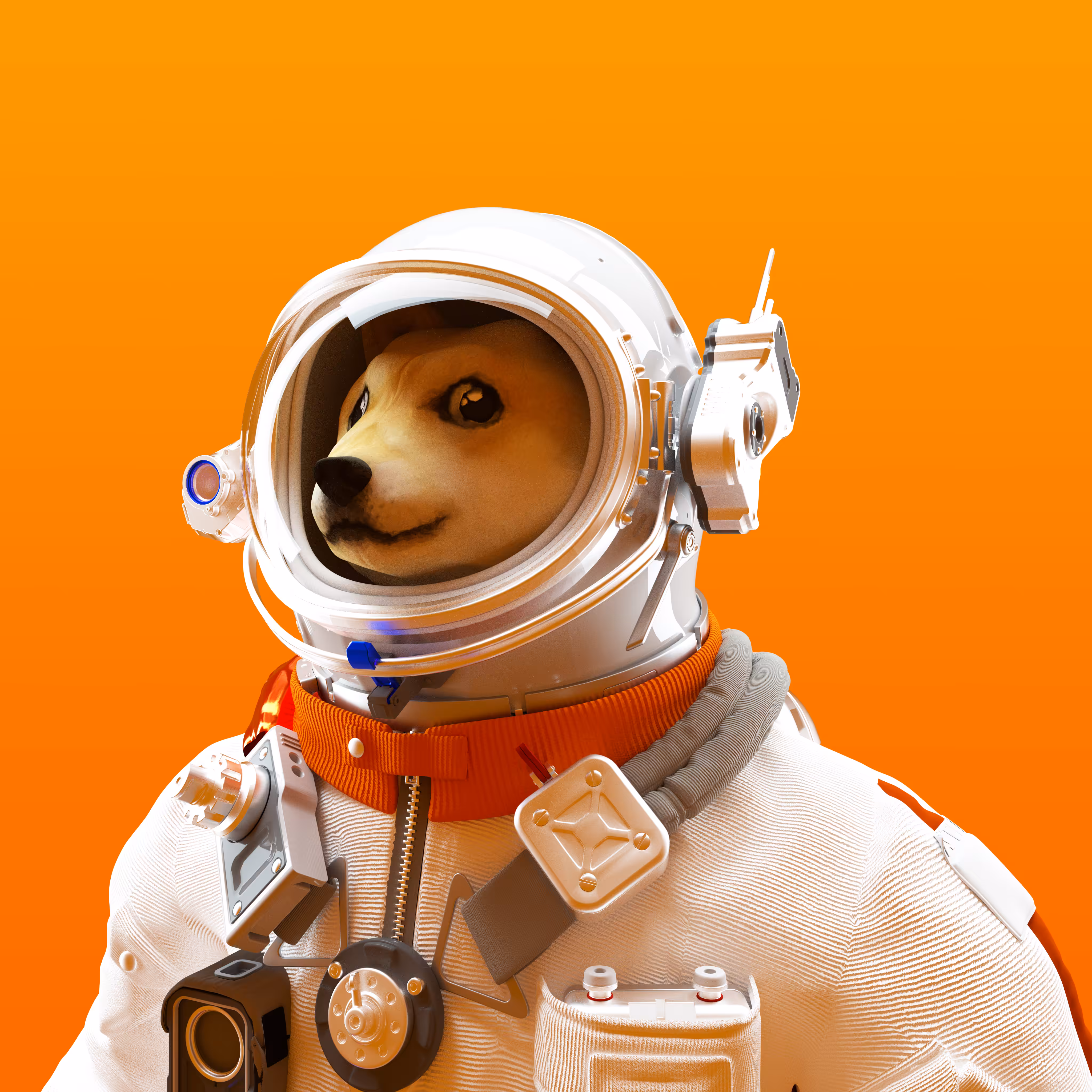 Dogestronaut 002